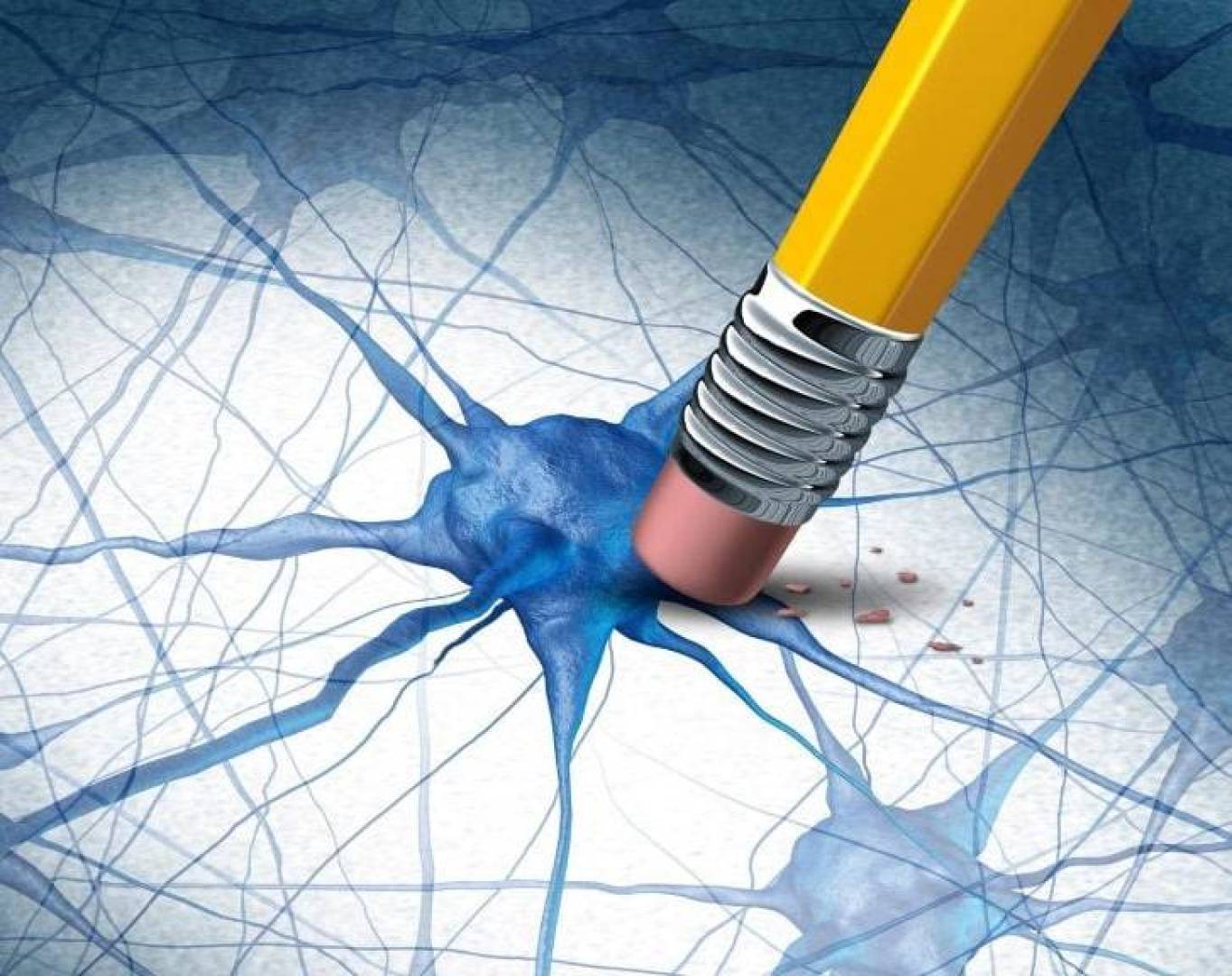 الكشف عن أصل نشوء الوعي و وظائفه