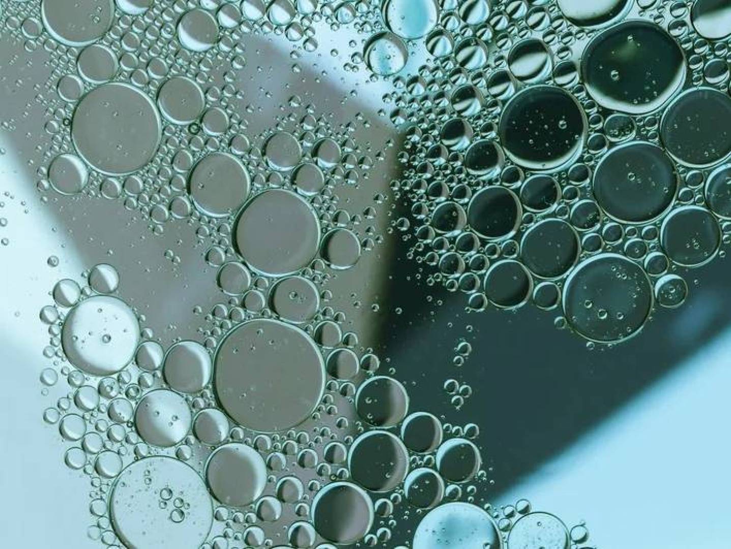 الكشف عن سر تحدد بنية الأحماض الصفراوية فائدتها أو ضررها على الكبد