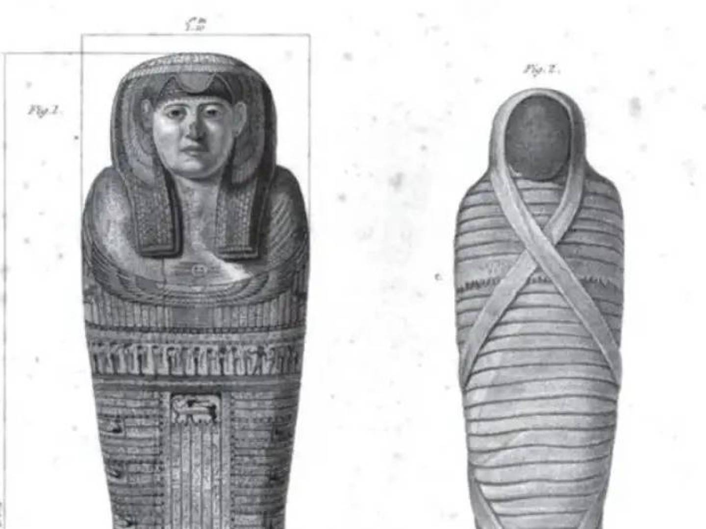 تغييرات خفية في الحمض النووي تمنح البكتيريا قدرة مذهلة على مقاومة الأدوية