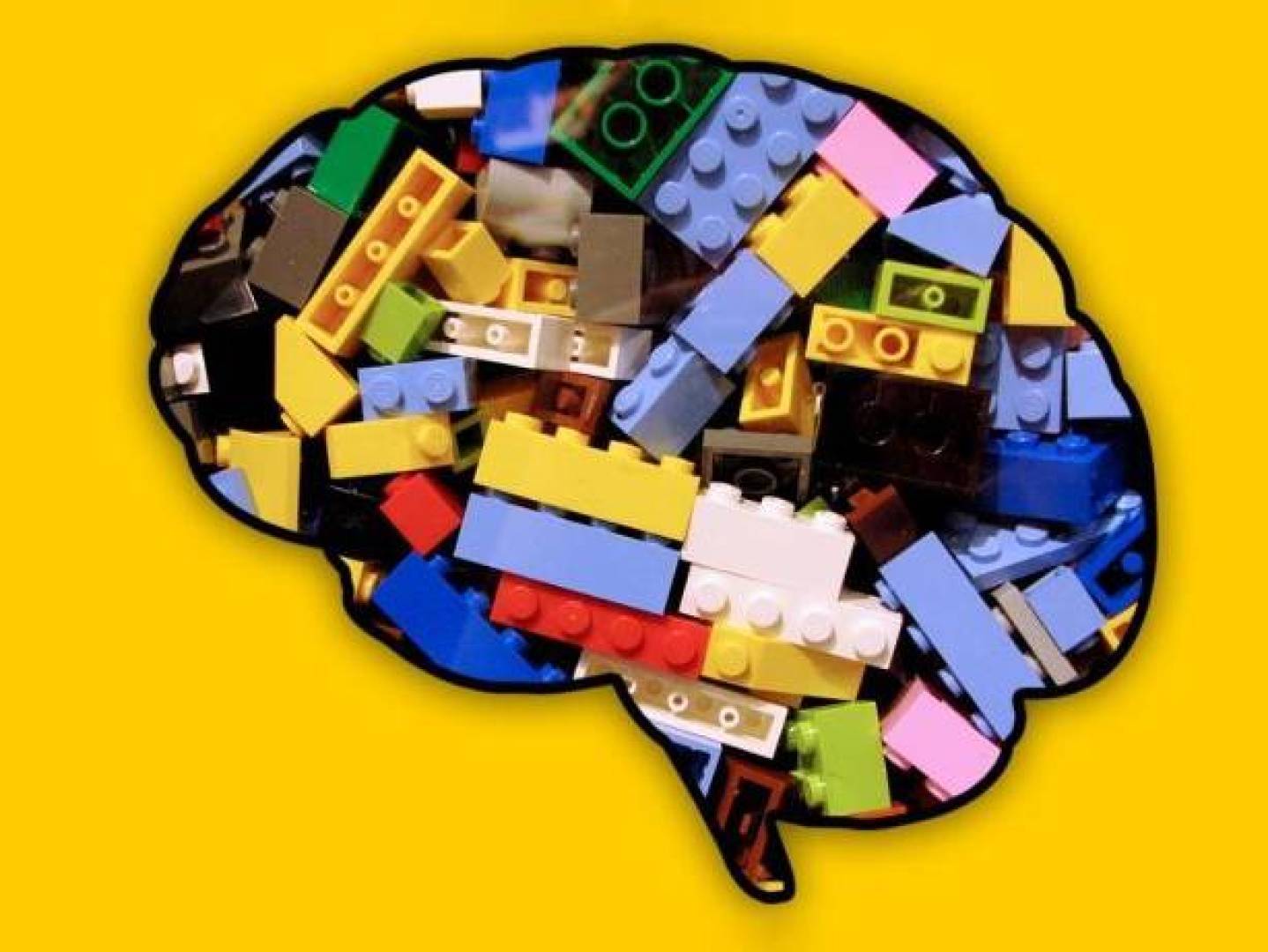 الدماغ يبني المهارات الجديدة باستخدام لبنات معرفية جاهزة يعيد تركيبها