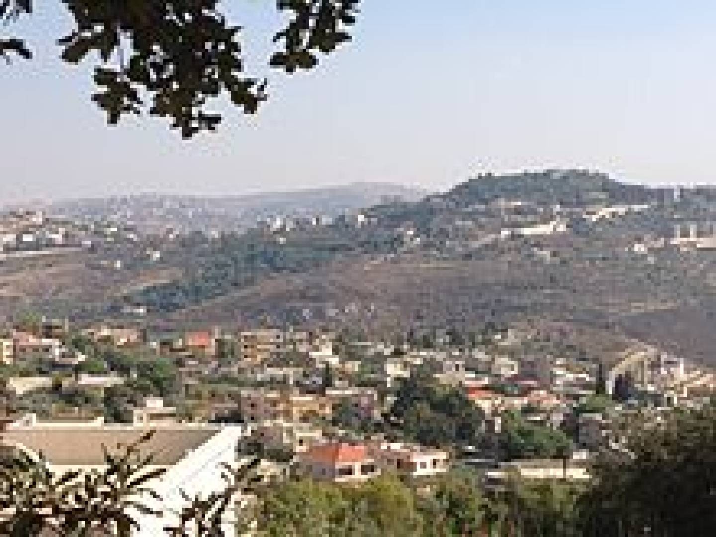 كتب الأديبُ الشّاعرُ الدّكتور حسن عليّ شرارة: 