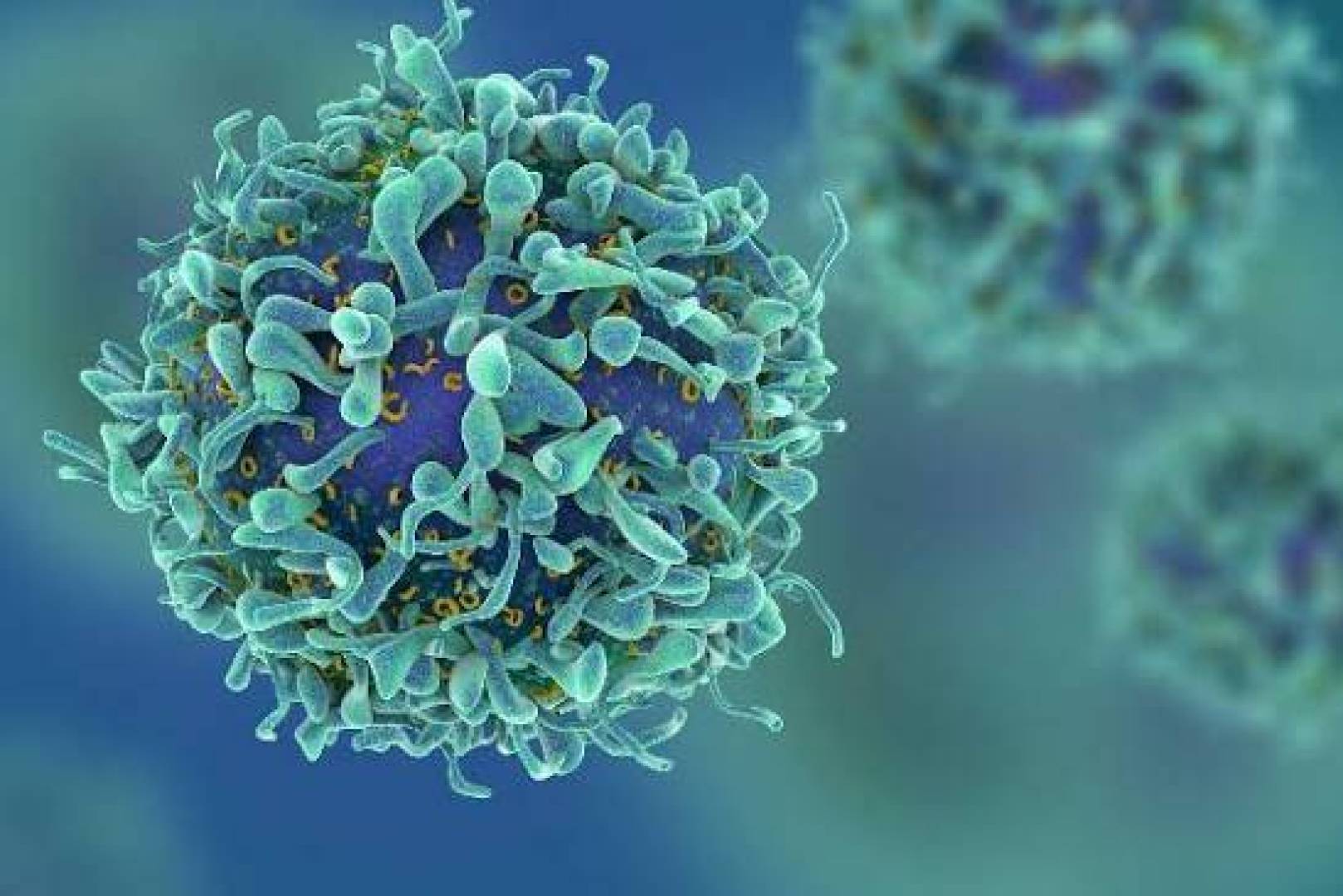 تطوير خلايا CAR T لمواجهة الأورام الصلبة