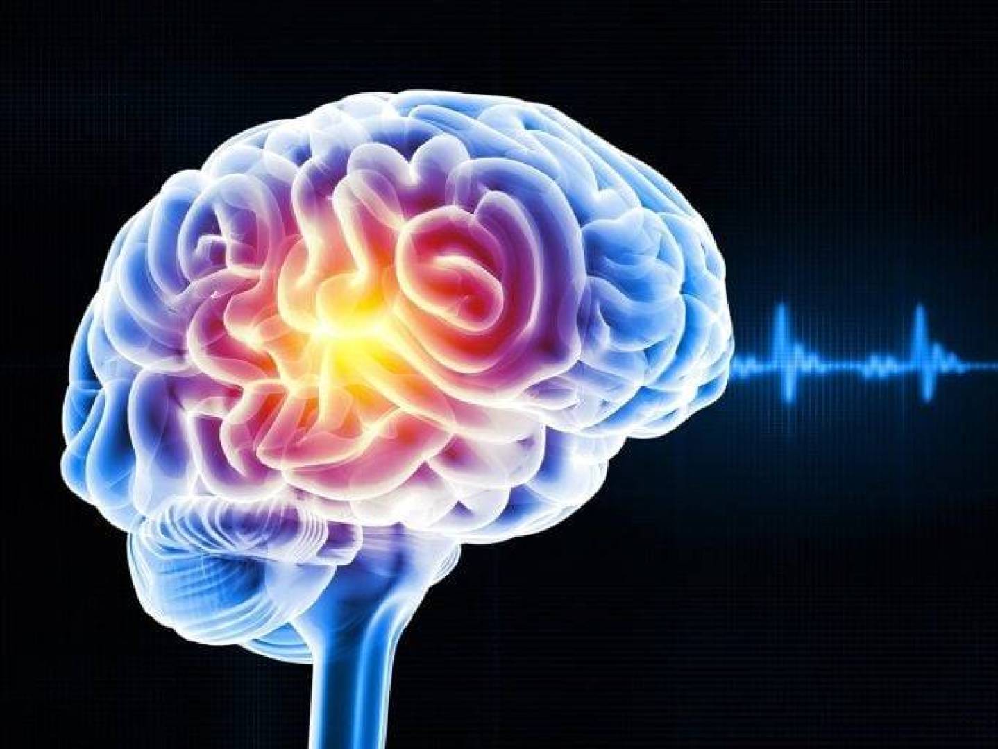 انقطاع الطمث يعيد تشكيل الدماغ: دراسة تكشف تغيّرات بنيوية مرتبطة بالذاكرة والتركيز