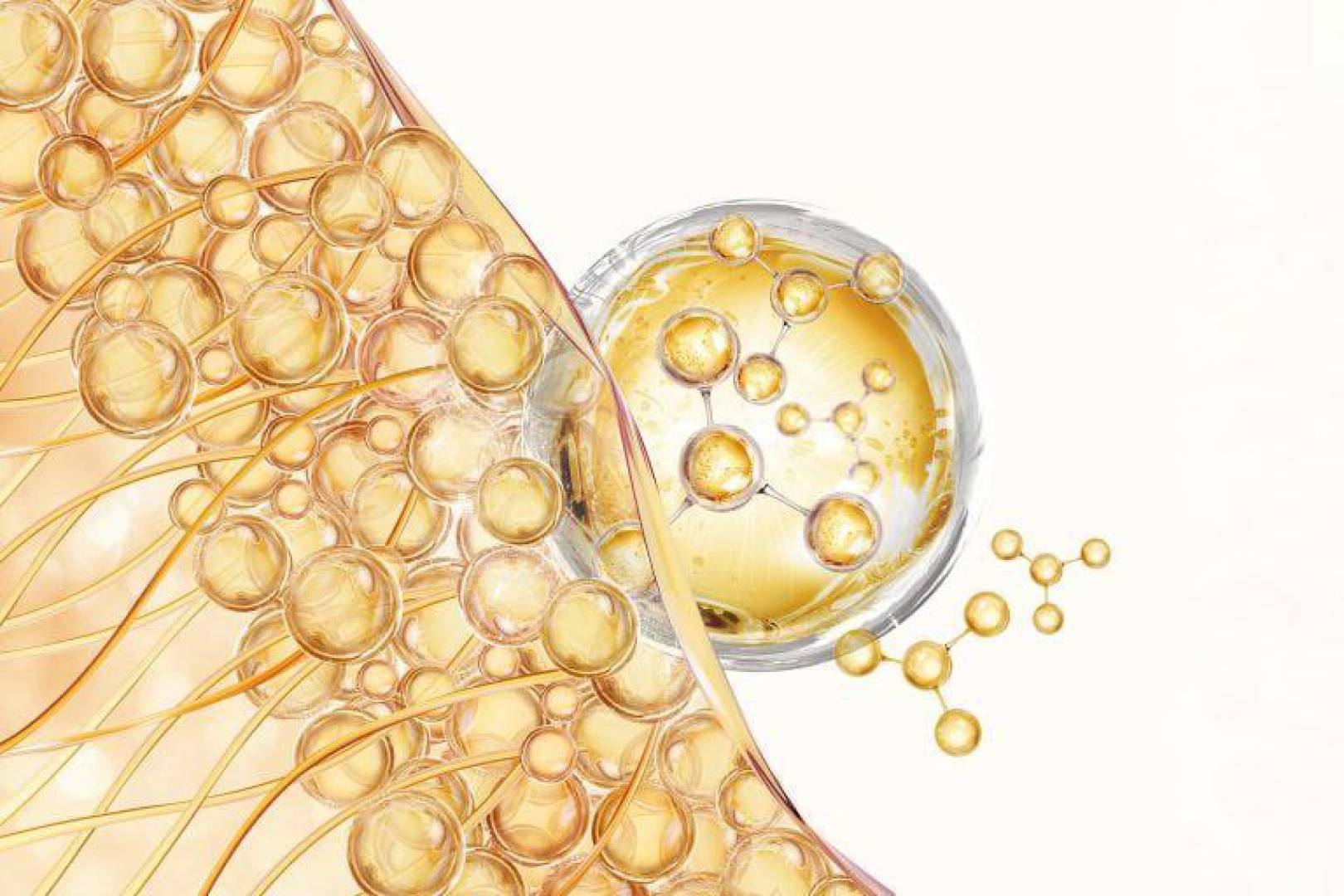 دراسة تكشف دور حمض السيرين في تسريع التئام الجروح