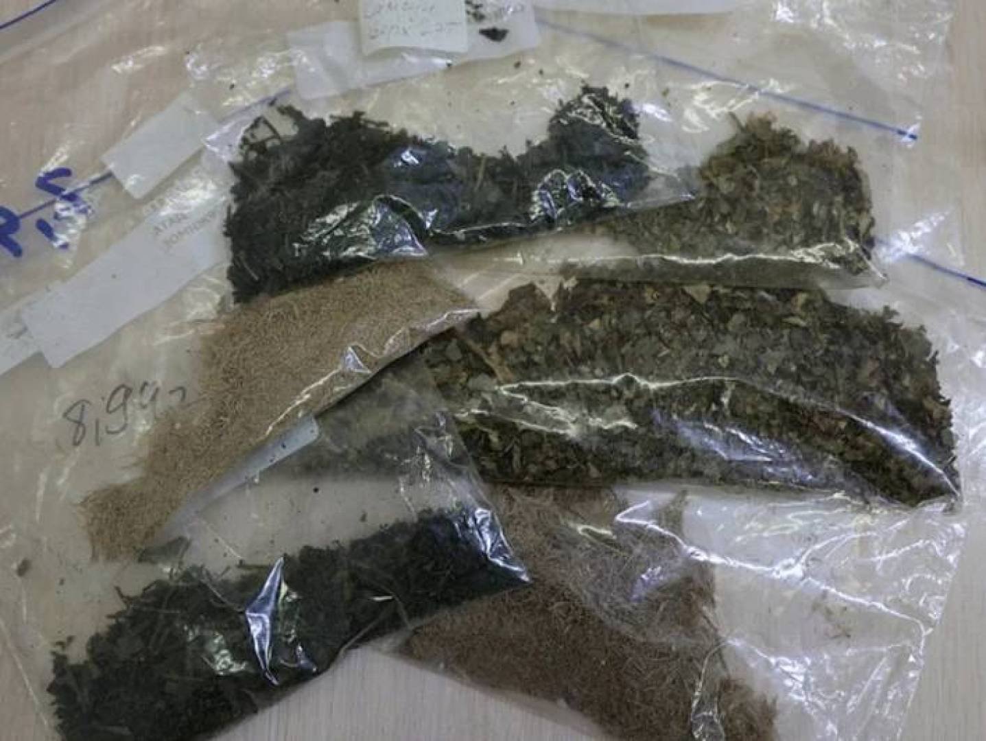 تبغ مشع لقياس فعالية المراهم الطبية بدقة علمية