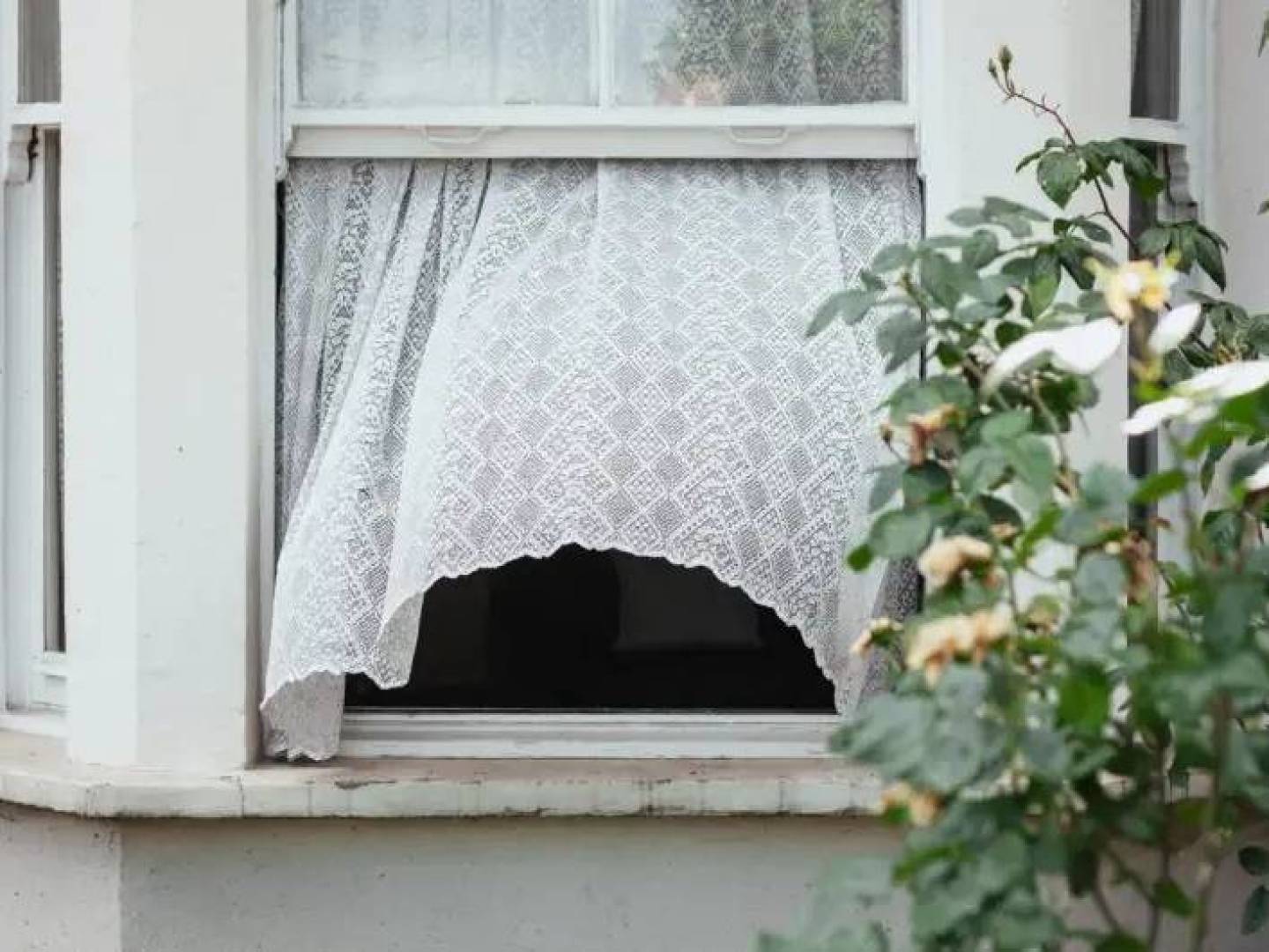 عادة فتح النوافذ والأبواب على مصراعيها في ألمانيا تثير الجدل بين الفائدة والمخاطر