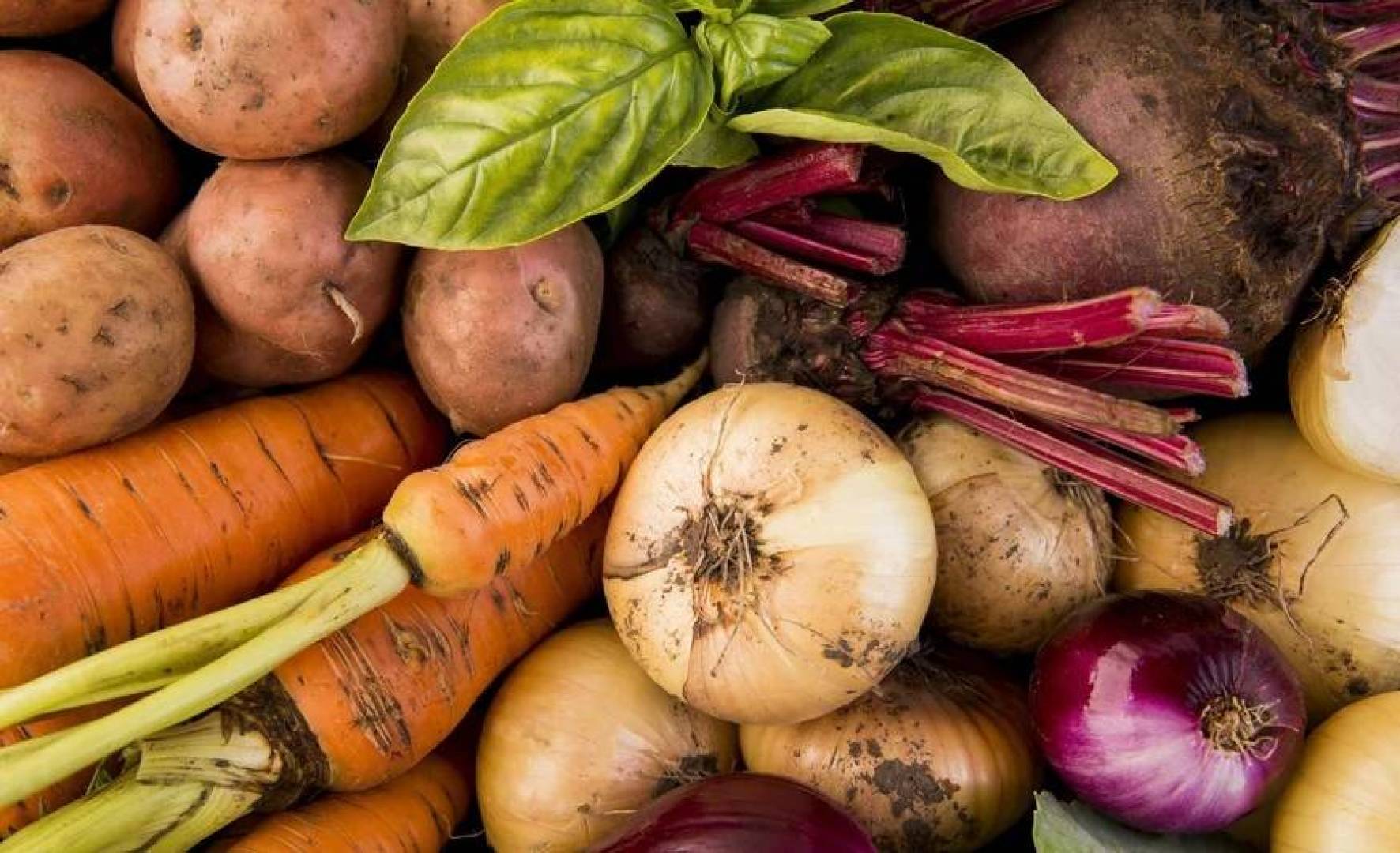 تحذير طبي من الإفراط في تناول الألياف وتأثيره على امتصاص المعادن