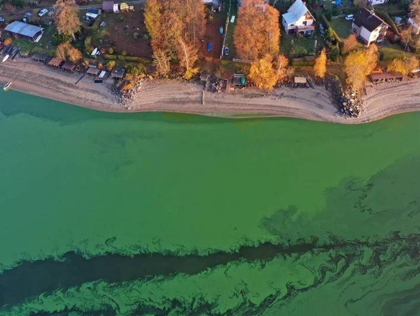 لماذا تحوّل الجليد إلى اللون الأخضر في بحيرة تشيكية؟