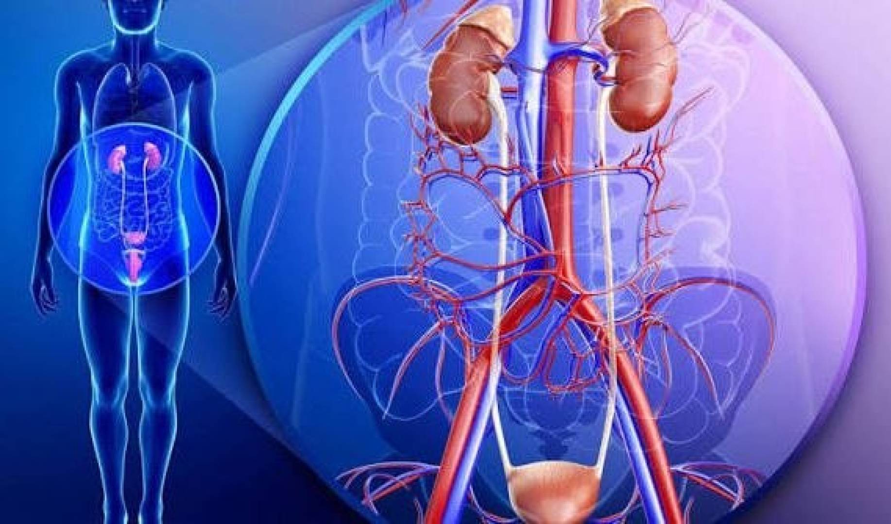 تأثير التهاب المسالك البولية على الصحة العقلية لدى كبار السن