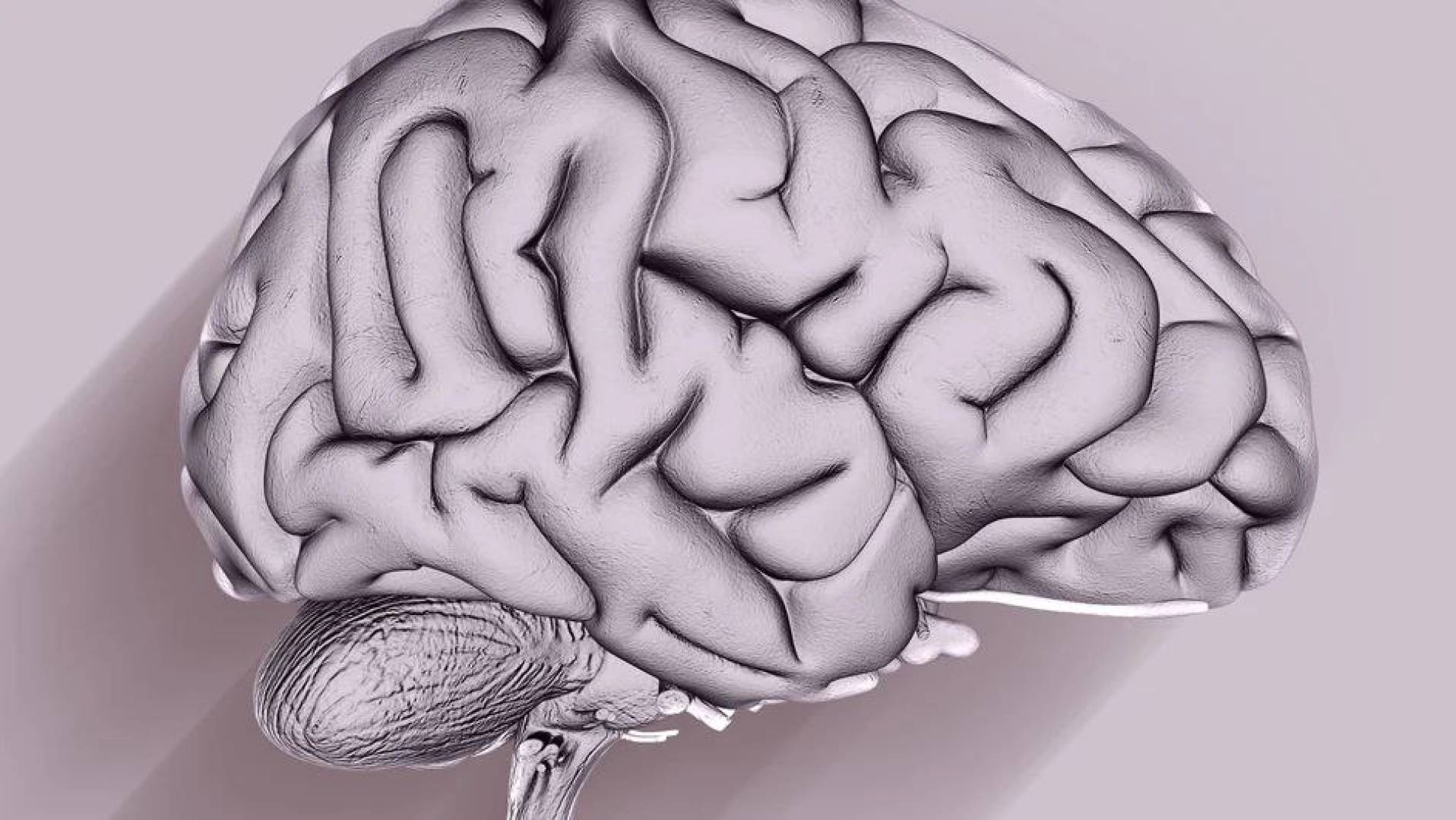 دراسة علمية تكشف علاقة نقص كبريتيد الهيدروجين في الدماغ بمرض الزهايمر وفقدان الذاكرة