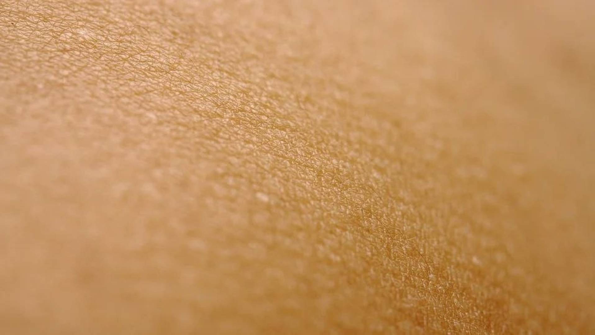 اكتشاف علمي: دودة صغيرة تكشف سر حماية الأعصاب داخل الجلد