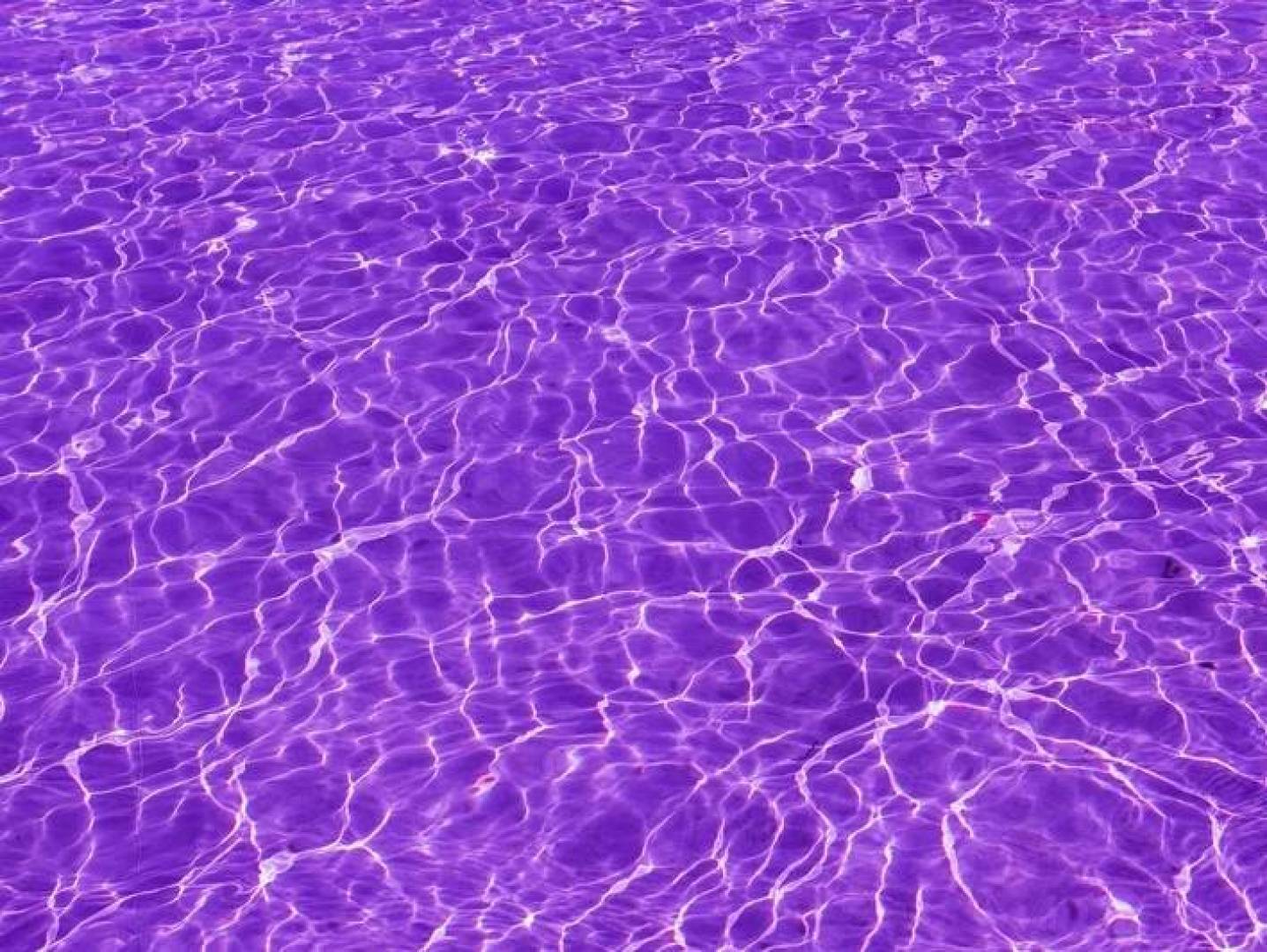 اللون البنفسجي ليس جزءا من الطيف الضوئي.. حقيقة علمية يوضحها الدماغ