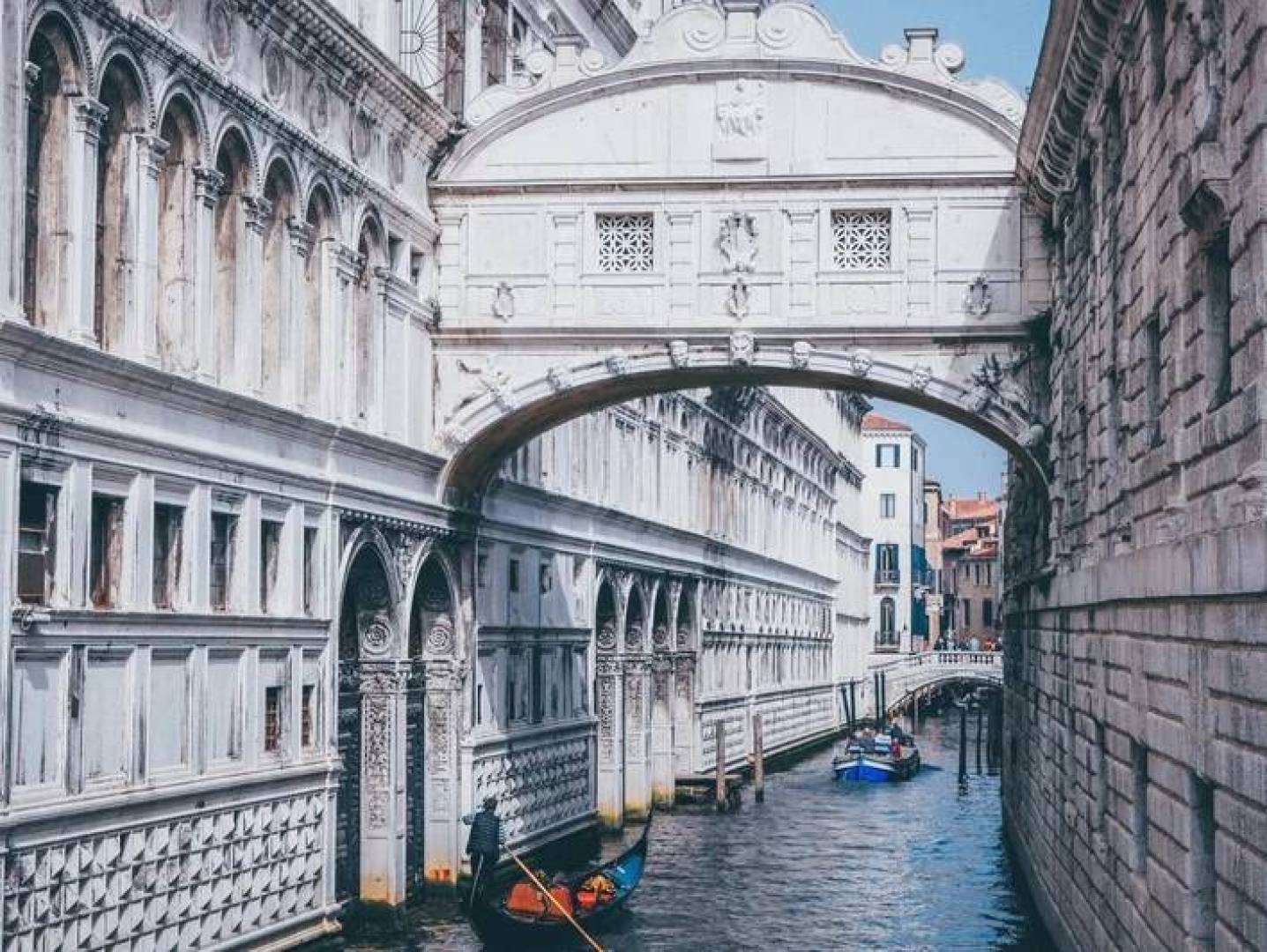 كائنات بحرية تهدد النظام البيئي في بحيرة البندقية