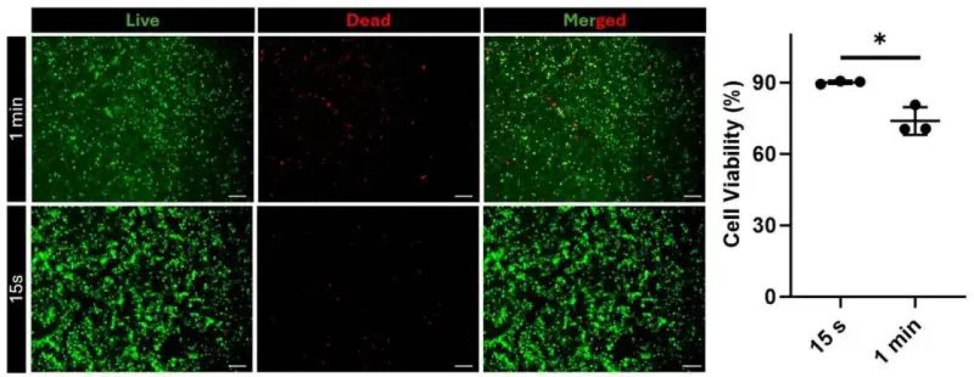 مادة حيوية مبتكرة لإصلاح الأنسجة والأعضاء تطوير هيدروجين ذكي قابل للتخصيص لإغلاق الجروح وتسريع شفاء الأنسجة