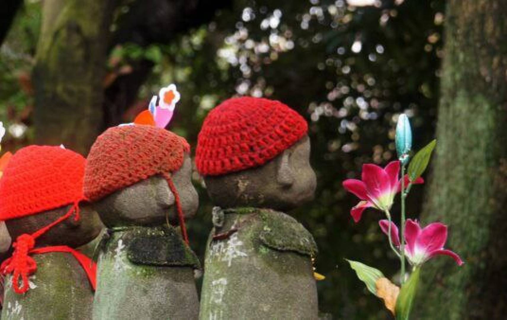 أسبابا وراثية مبكرة لعوامل الإجهاض المتكرر