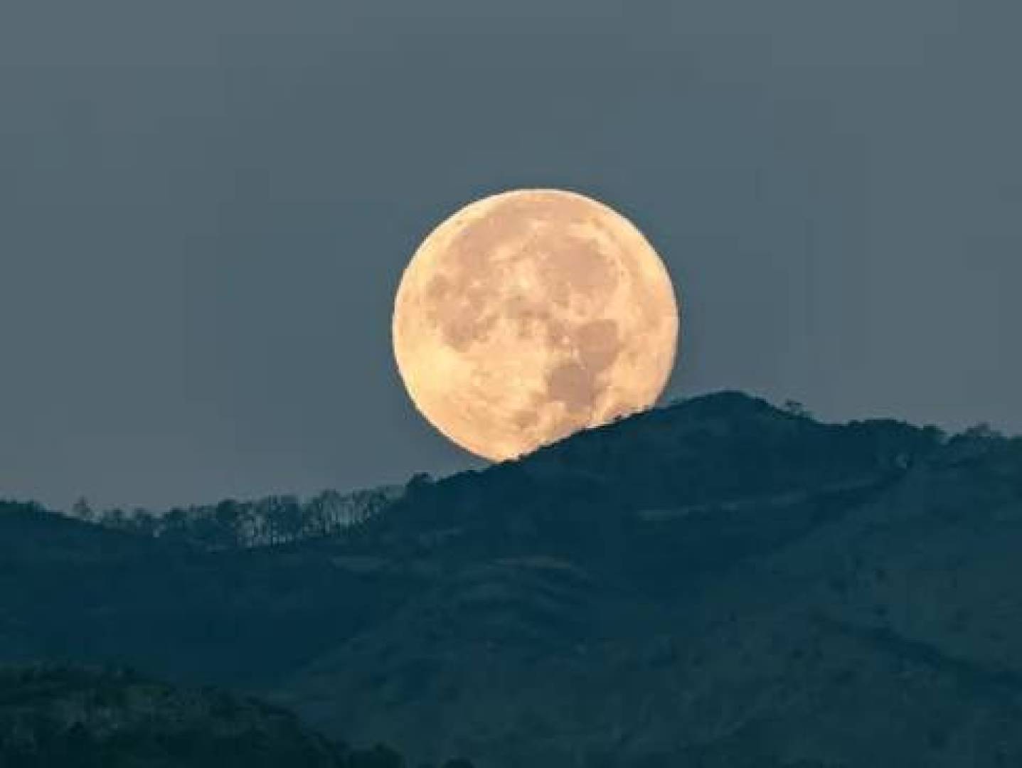 لماذا يبدو القمر أكبر حجما عند الأفق؟ تفسير علمي لواحدة من أقدم الخدع البصرية