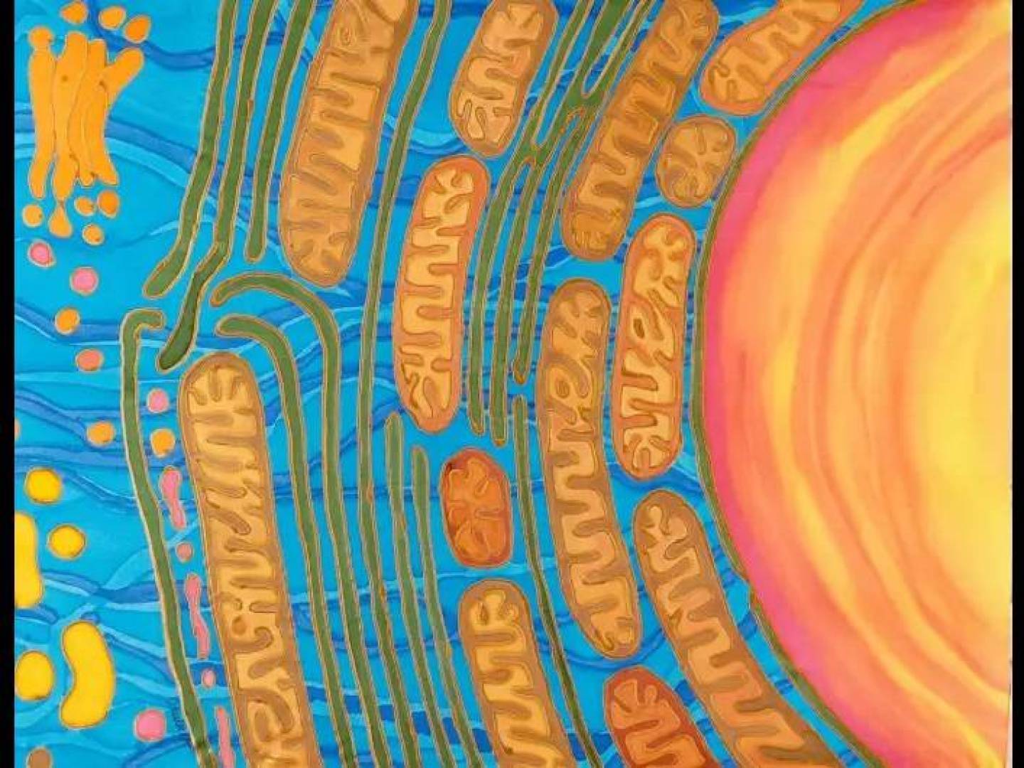 زيادة طاقة الخلايا العصبية يحسن الذاكرة بشكل فعال