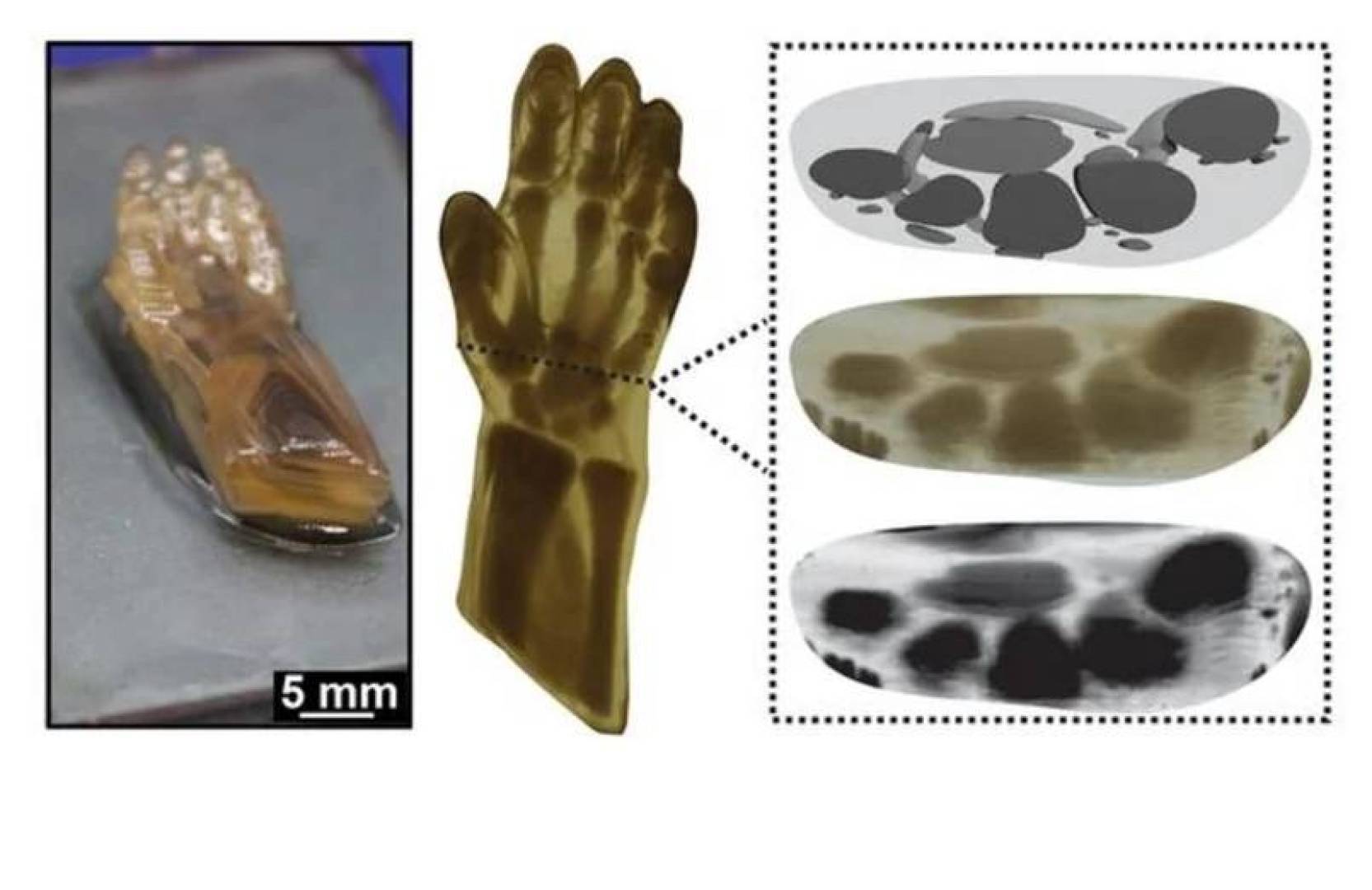 طباعة يد بشرية واقعية بالكامل باستخدام تقنية متقدمة للطباعة ثلاثية الأبعاد