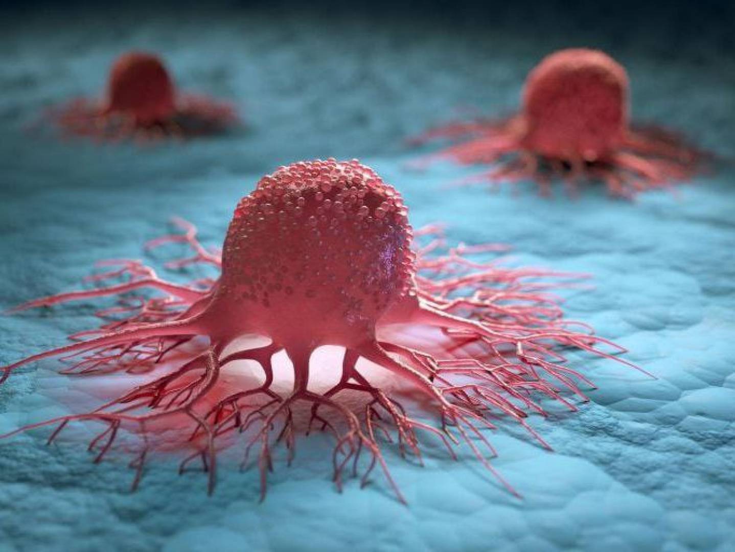 حمض الريتينويك يضعف قدرة الجهاز المناعي على محاربة السرطان