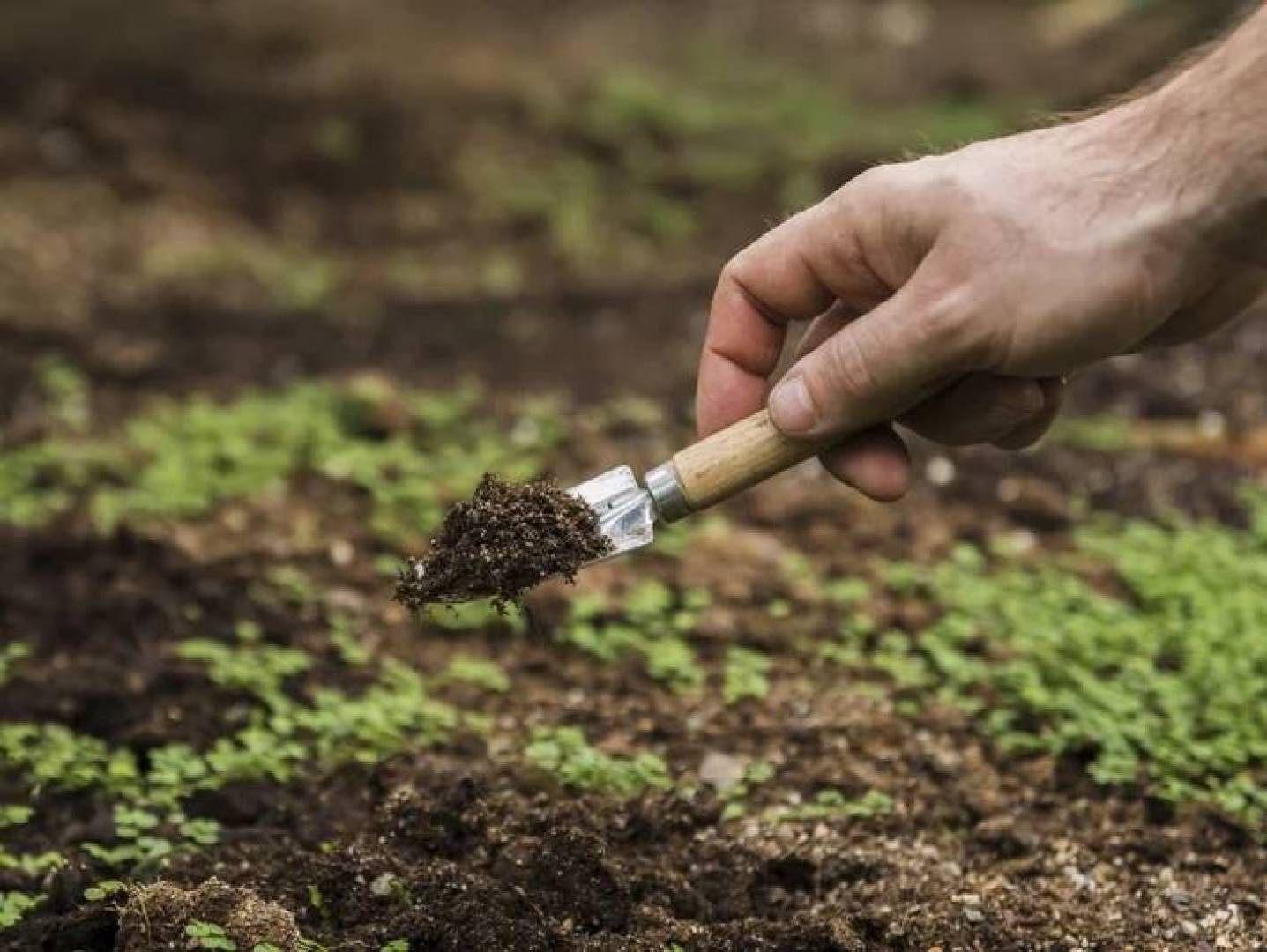 أسمدة ذكية قادرة على التكيف مع نوع التربة والمحاصيل