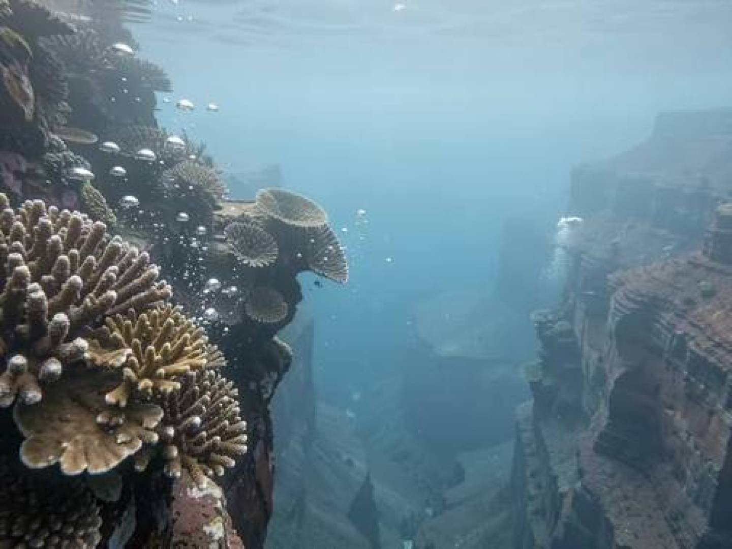 العلم يكشف سر تكوّن وادٍ عملاق في أعماق الأطلسي