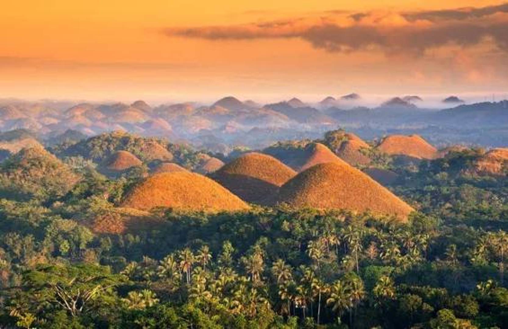 تلال غامضة تتحول إلى لون الشوكولاتة مع الفصول في الفلبين وتحير الجيولوجيين