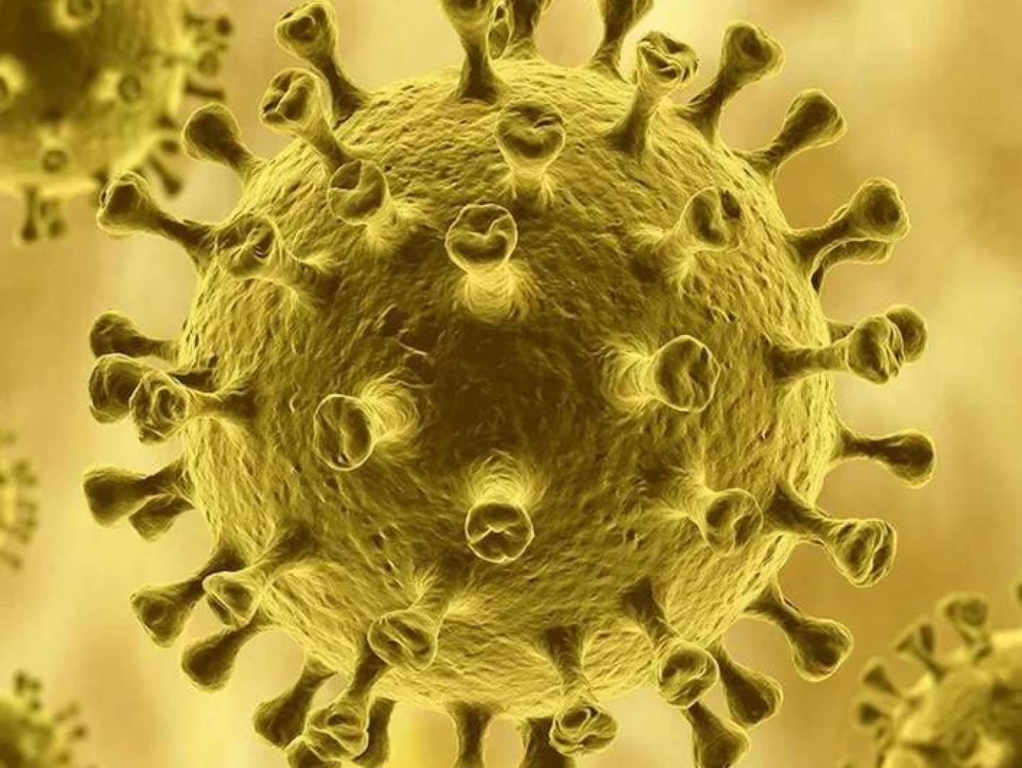 الذكاء الاصطناعي يصمم جينوم فيروسي قادر على القضاء على بكتيريا قاتلة