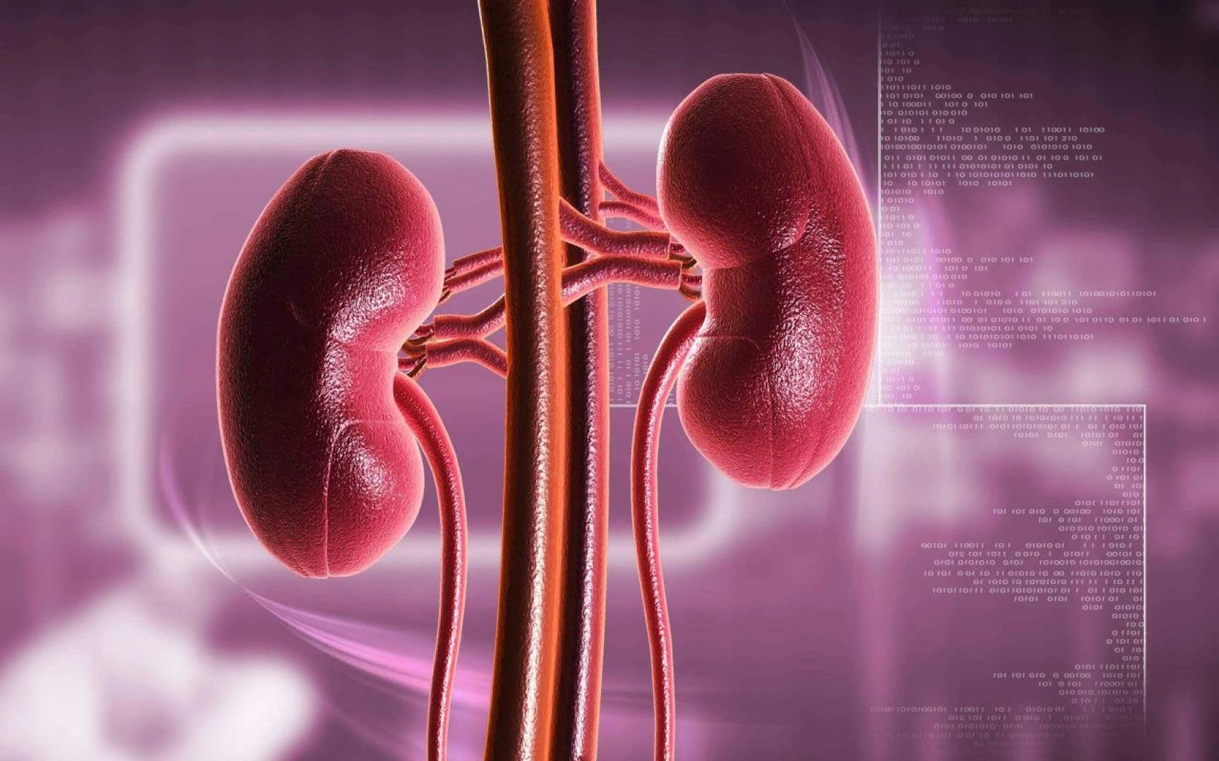 دراسة حديثة تكشف ارتباطا واضحا بين أمراض اللثة وأمراض الكلى المزمنة