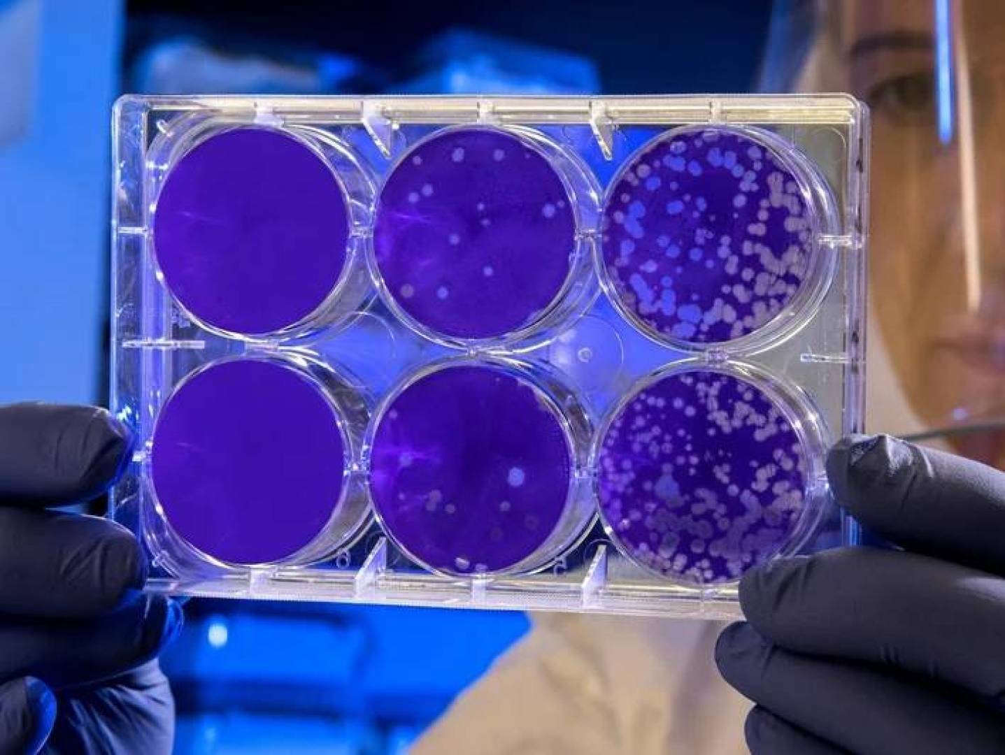 اكتشاف علمي يفسر آلية عمل أكسيد الغرافين