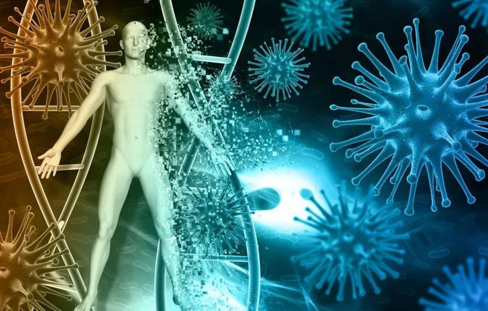 طريقة مبتكرة للتنبؤ بتقدم عمر الجهاز المناعي للإنسان