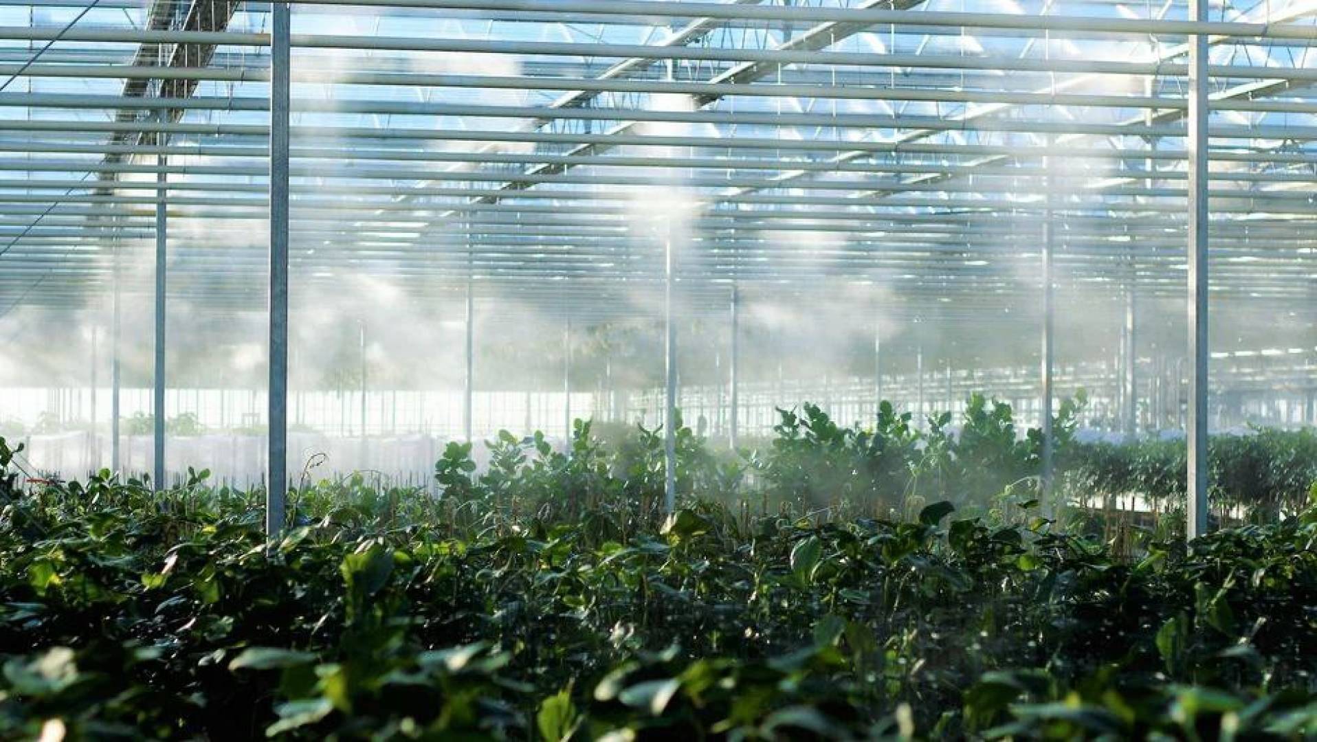 تطوير نظام تدفئة للبيوت الزجاجية يعمل بالبخار ويخزن الطاقة الحرارية لساعات