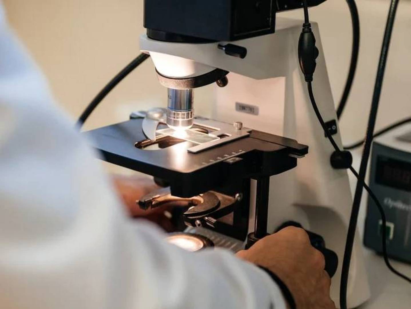 علماء يقتربون من كشف سر الشيخوخة المناعية