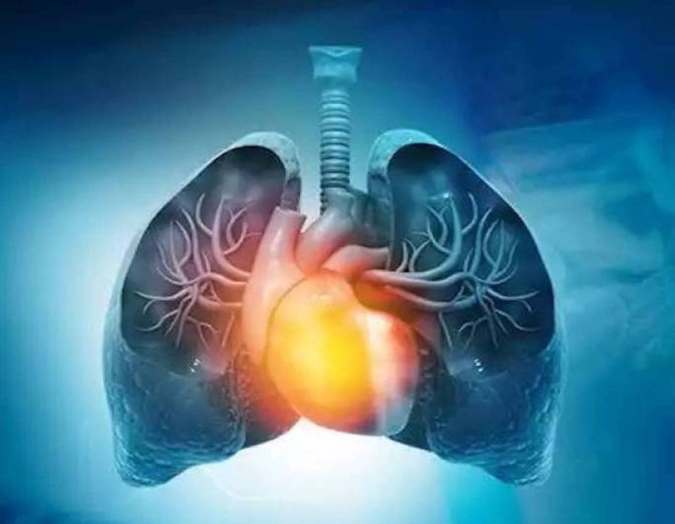 بعض خلايا الرئة تشيخ أسرع من غيرها وقد تكون مفتاح علاج أمراض الرئة