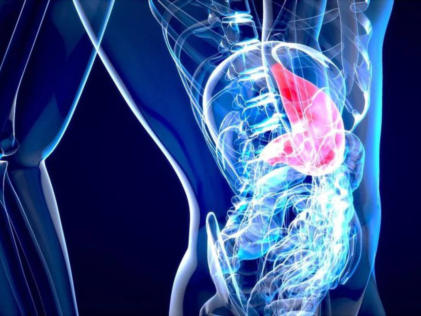 علاقة غير متوقعة بين الكبد وصحة العظام لدى الرجال