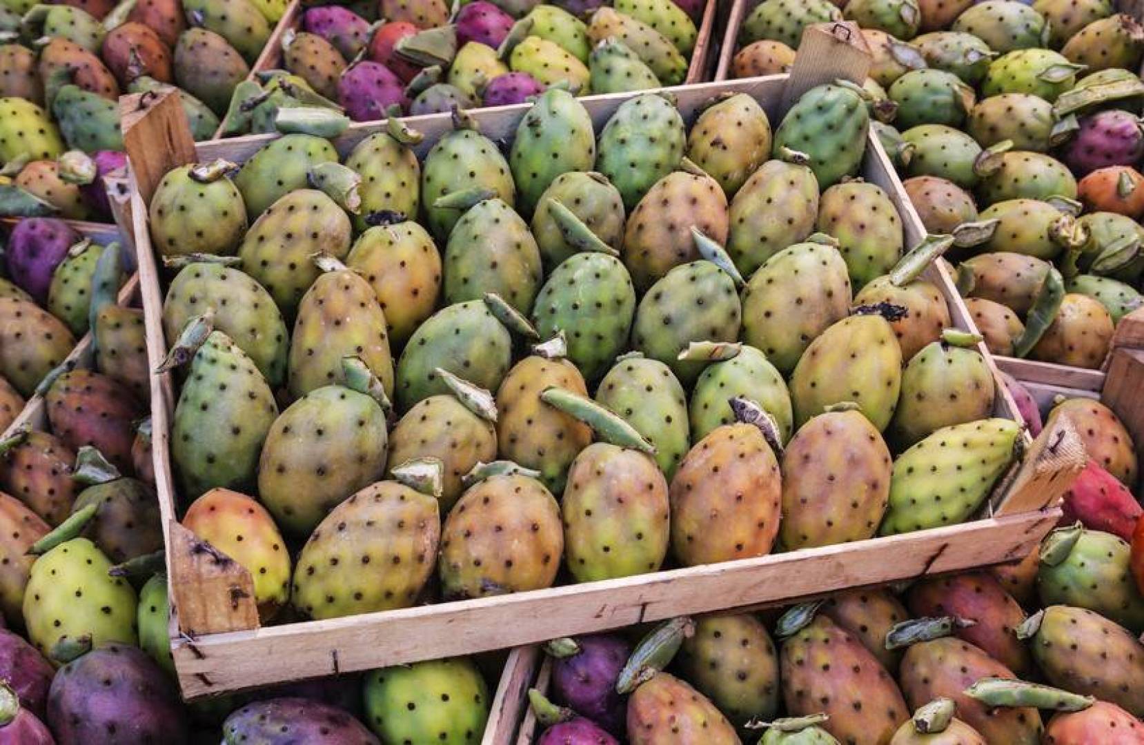 فاكهة التين الشوكي قد تساعد في مكافحة متلازمة التمثيل الغذائي