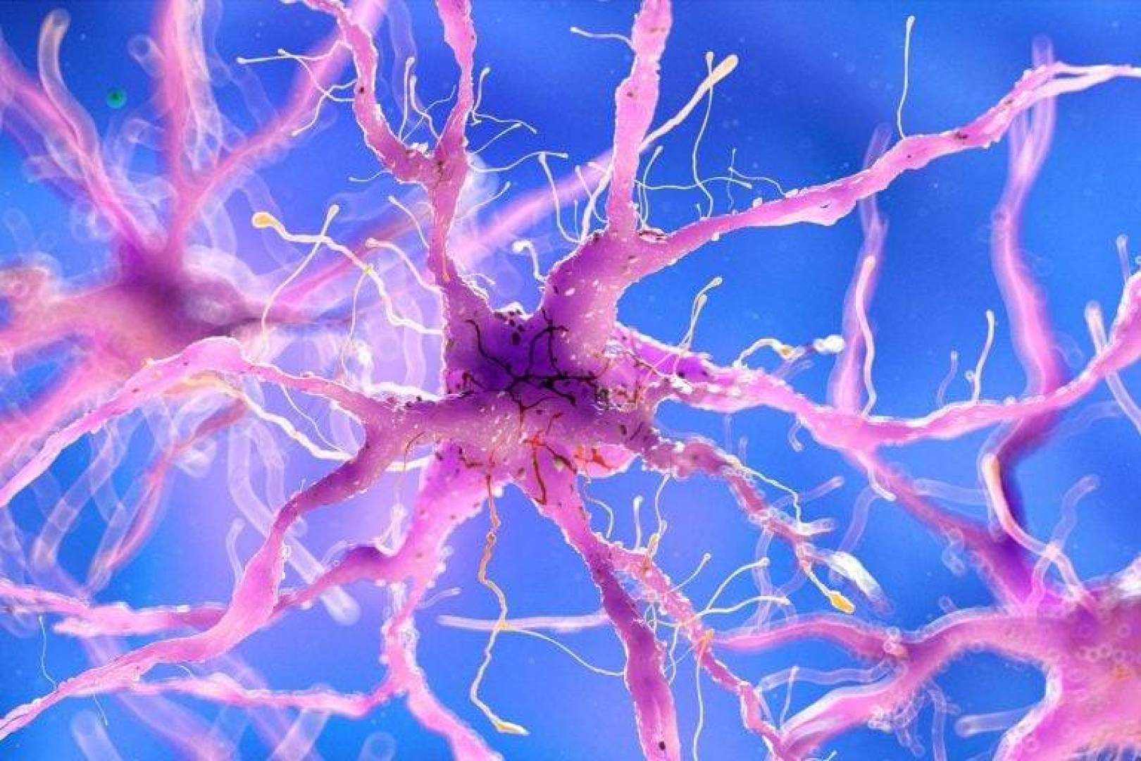 مفتاح جزيئي جديد قد يساعد على إصلاح الأعصاب بعد الإصابة