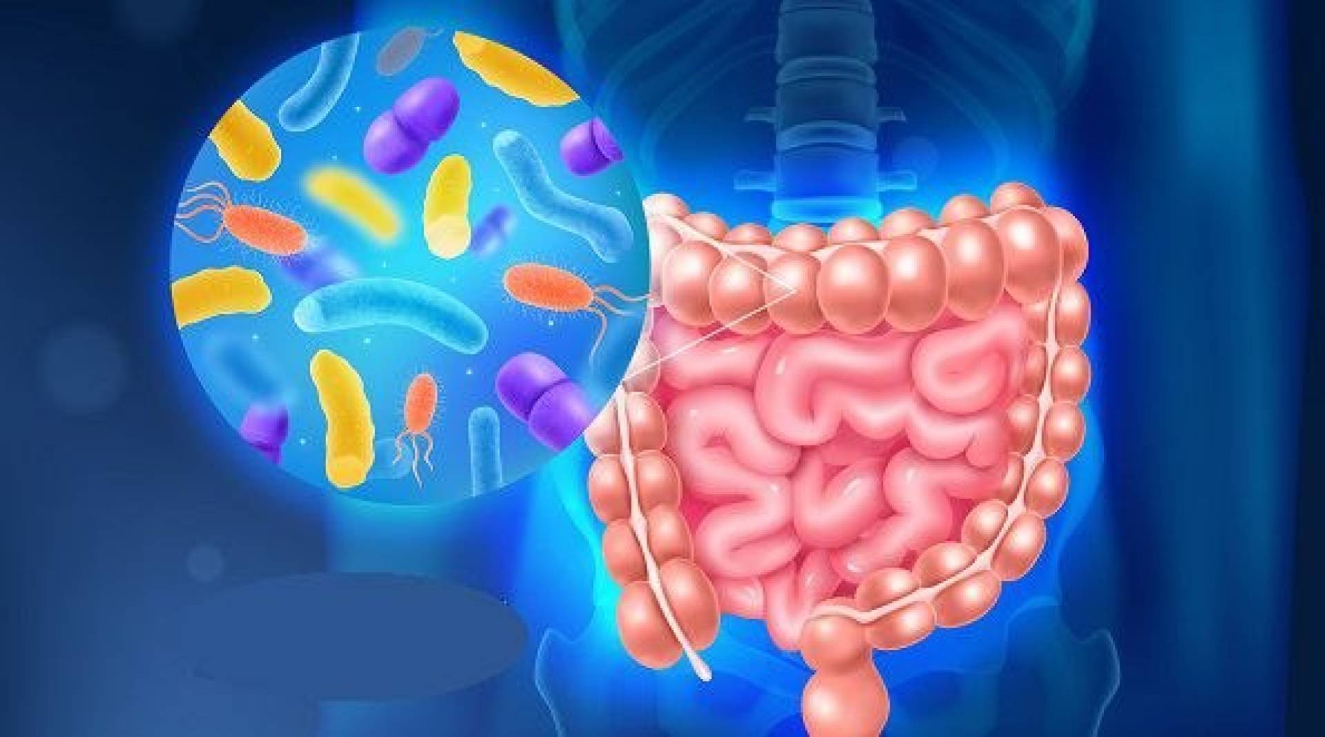 زراعة البكتيريا تنقذ مرضى عدوى قاتلة بعد فشل المضادات الحيوية