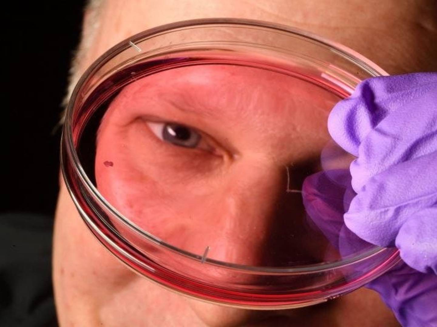 اكتشاف علمي يعيد كتابة فهم تطور العين