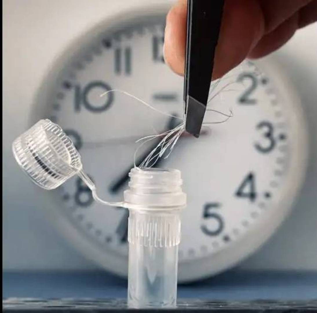 تحليل شعرة واحدة يحدد إيقاع جسمك اليومي ويغيّر مستقبل العلاج