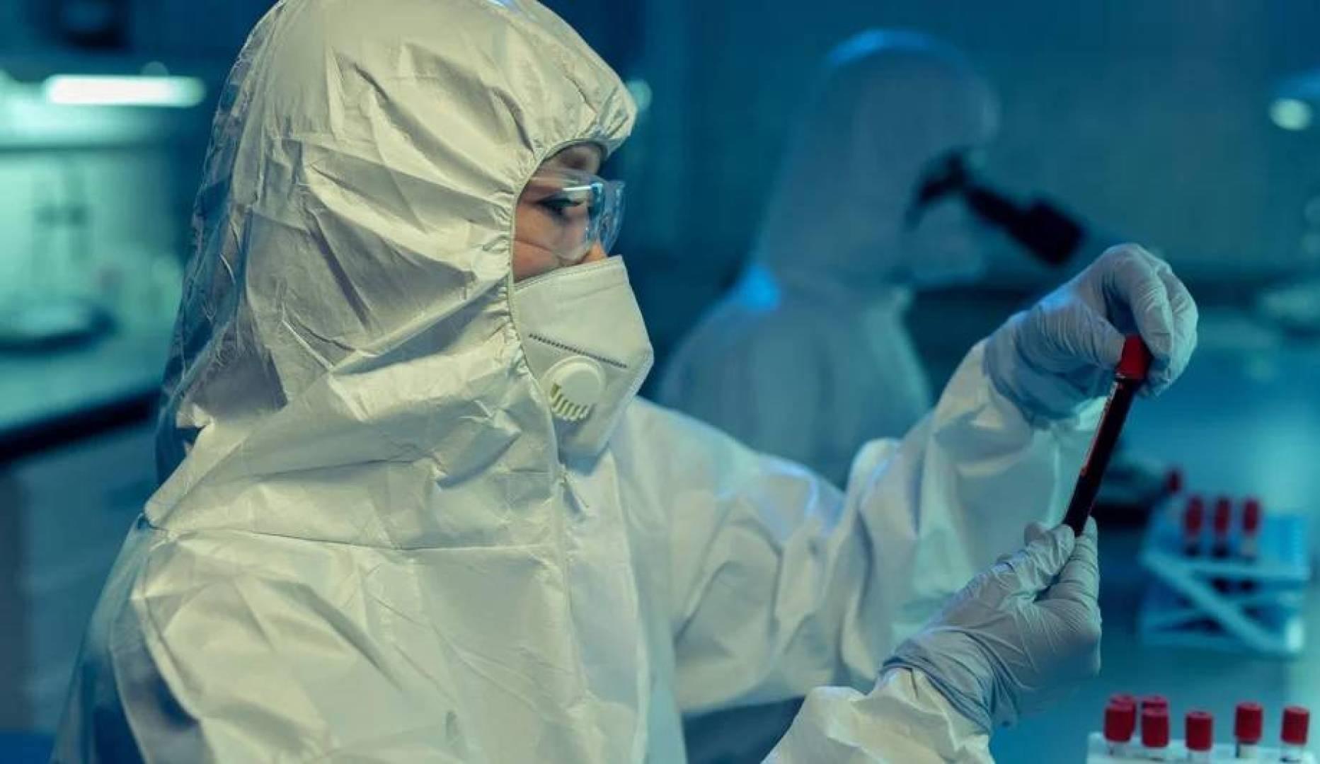 دور خلايا الجلد في نقل داء الكلب إلى الجهاز العصبي