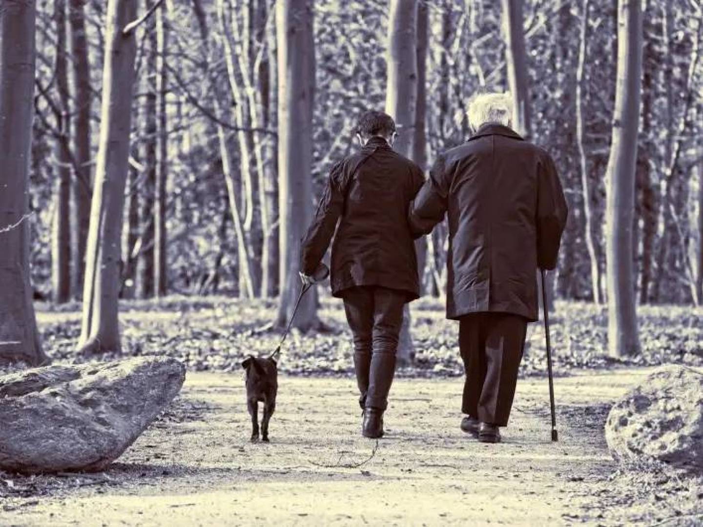 التمارين ومسكن الإيبوبروفين يساعدان في تقليل آثار العلاج الكيميائي على الدماغ