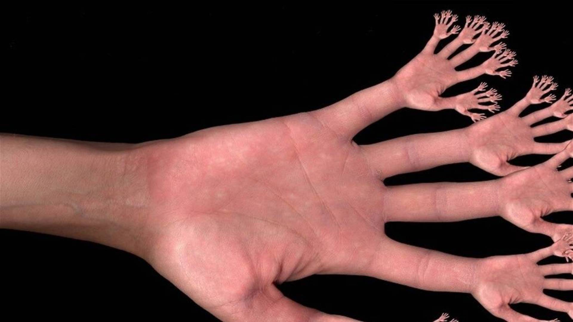 جينات مشتركة قد تمهد الطريق لإعادة نمو الأطراف لدى البشر