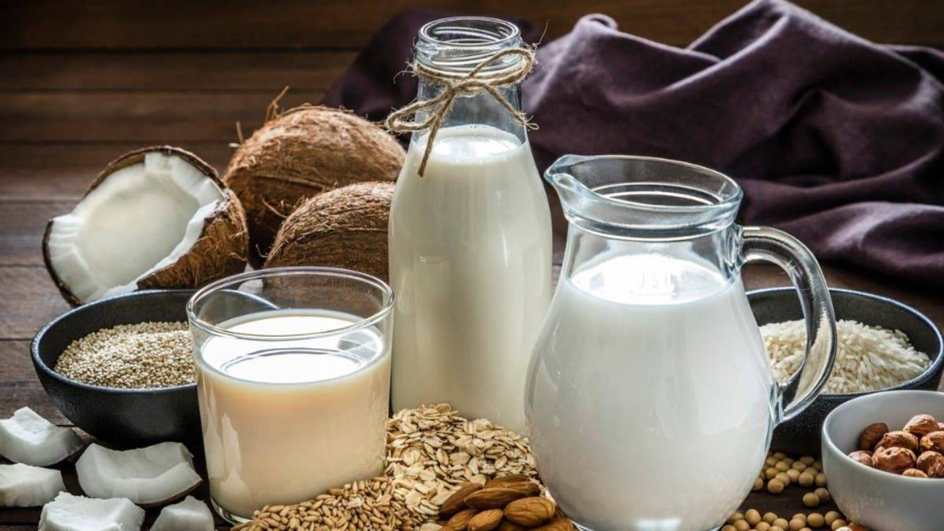 بكتيريا من النحل قد تحل مشكلة نقص الفيتامينات في الحليب النباتي