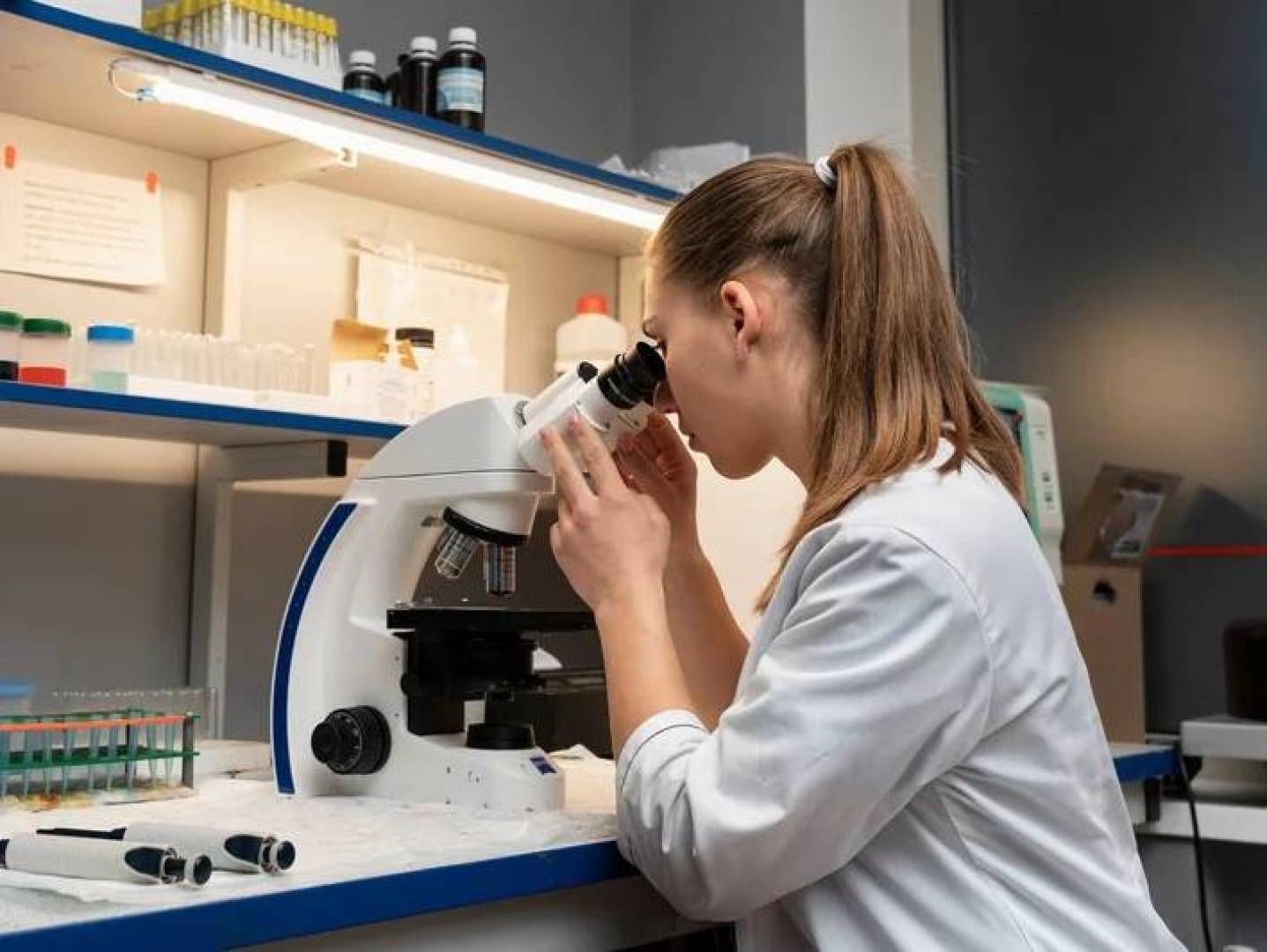 اكتشاف محركات نانوية داخل طفيليات الملاريا يفتح آفاقا لعلاجات جديدة