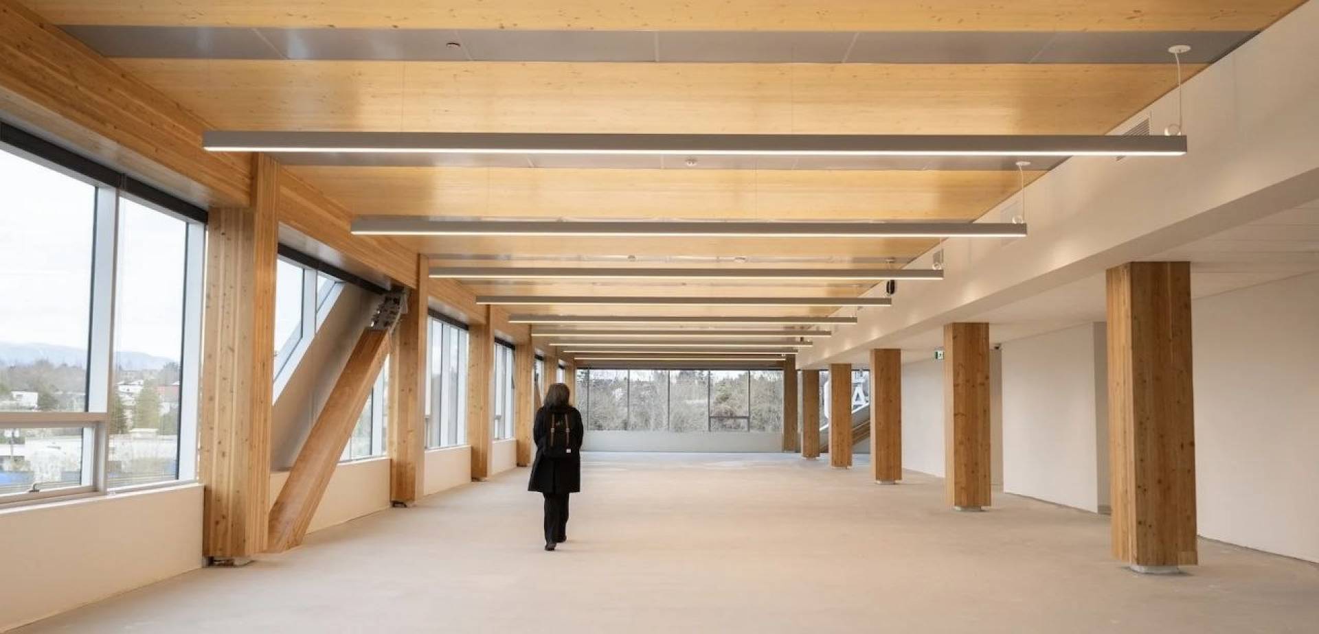 توجه عالمي نحو البناء بالخشب