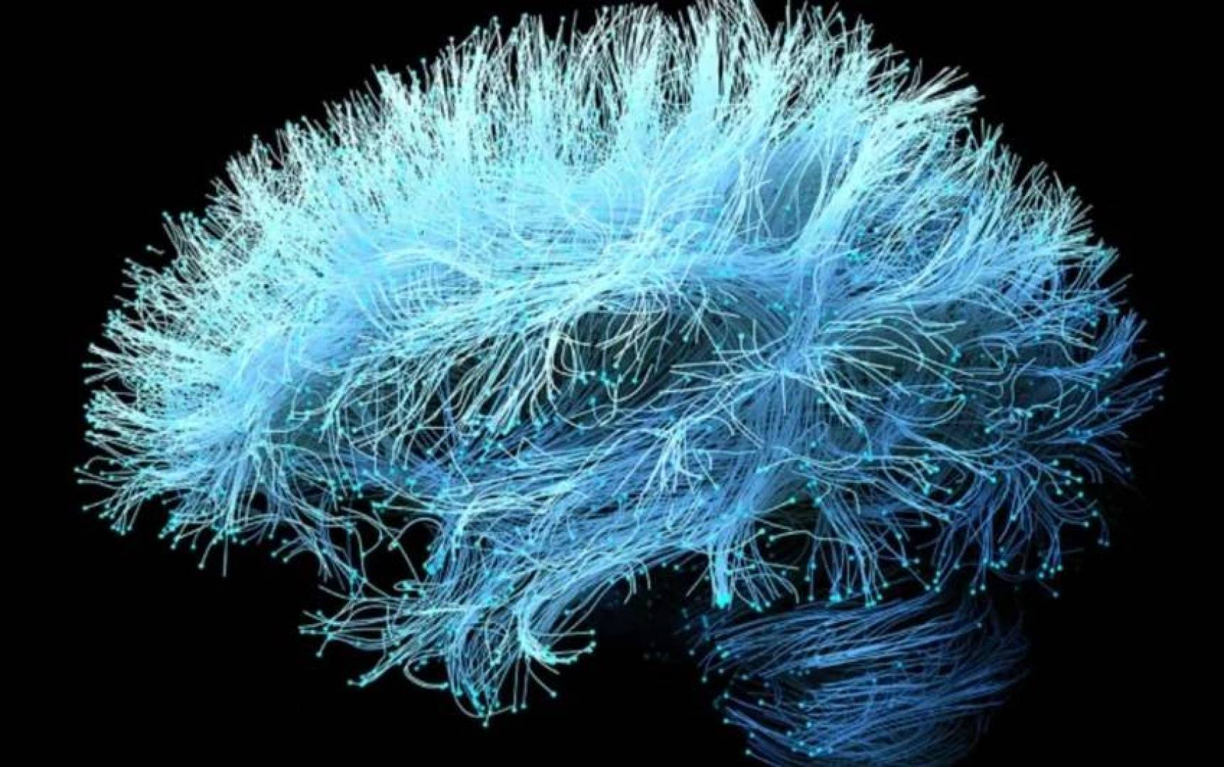 تطوير تطبيق ذكي يحدد عمر دماغك الحقيقي ويكشف أمراضا مبكرة