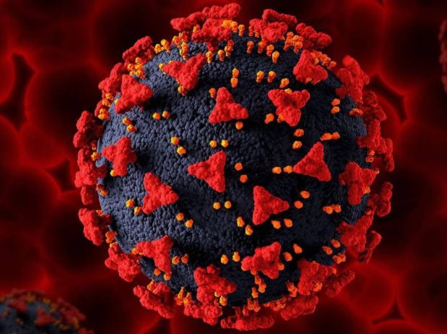 اكتشاف علمي جديد حول علاقة الفيروسات بالسرطان