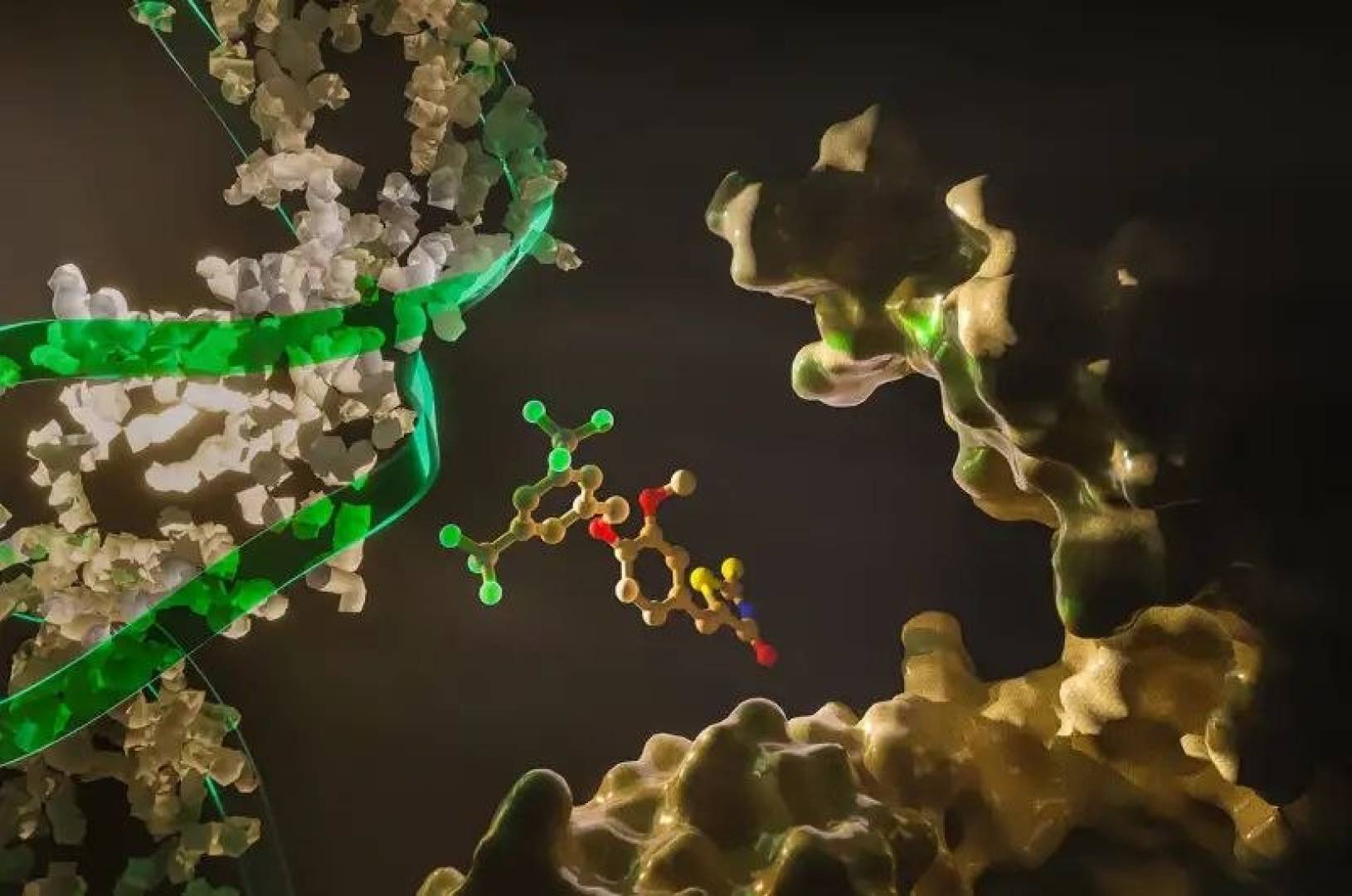 علاج جديد يحمي القلب ويعزز فعالية علاج السرطان في آن واحد