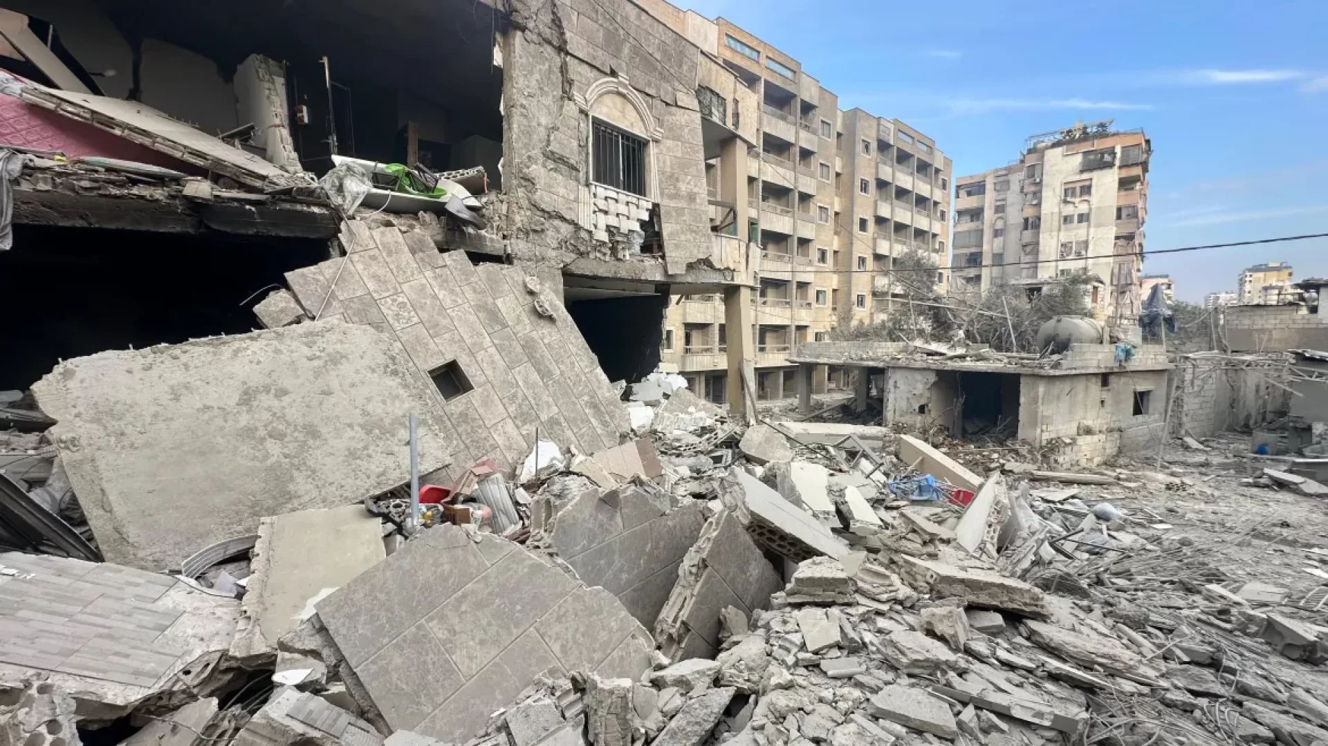 بيت، شجر، بَي، أُم، ولاد.. حتى متى؟