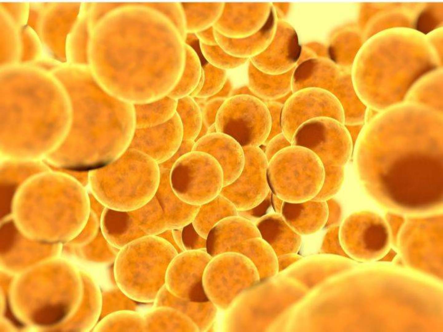 اكتشاف آلية جديدة تغيّر علاج السمنة والسكري